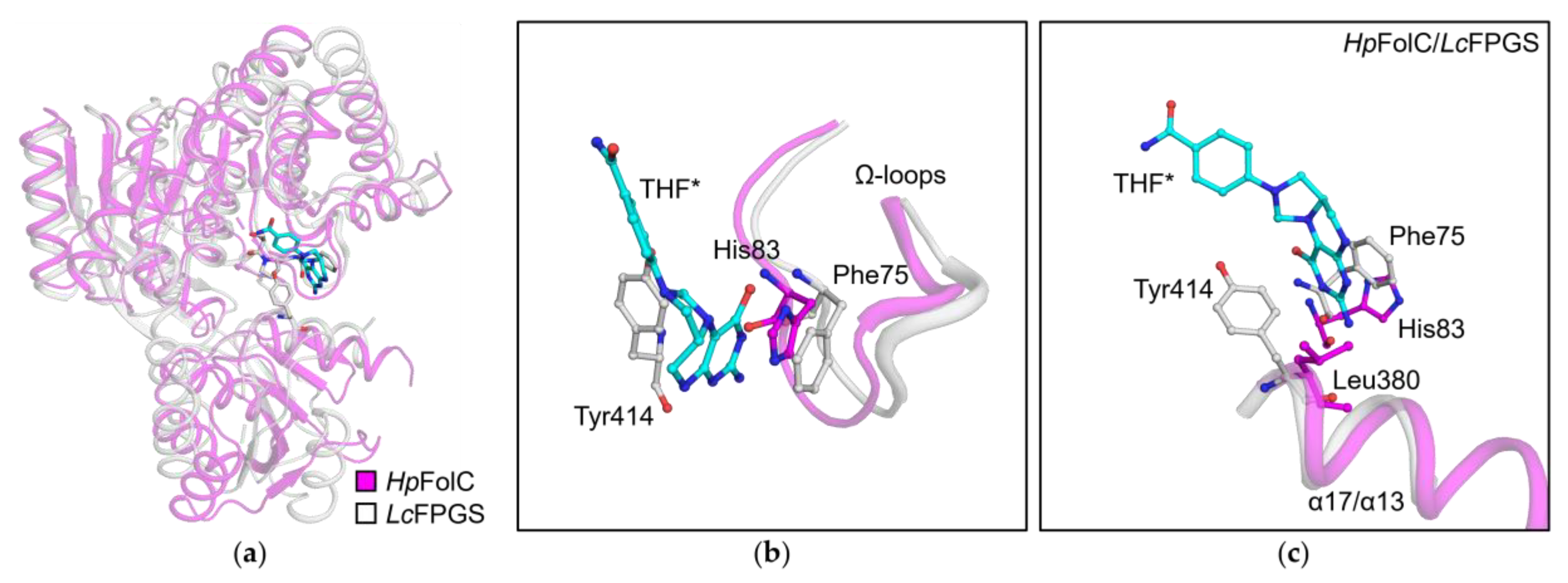 Crystals 09 00429 g005
