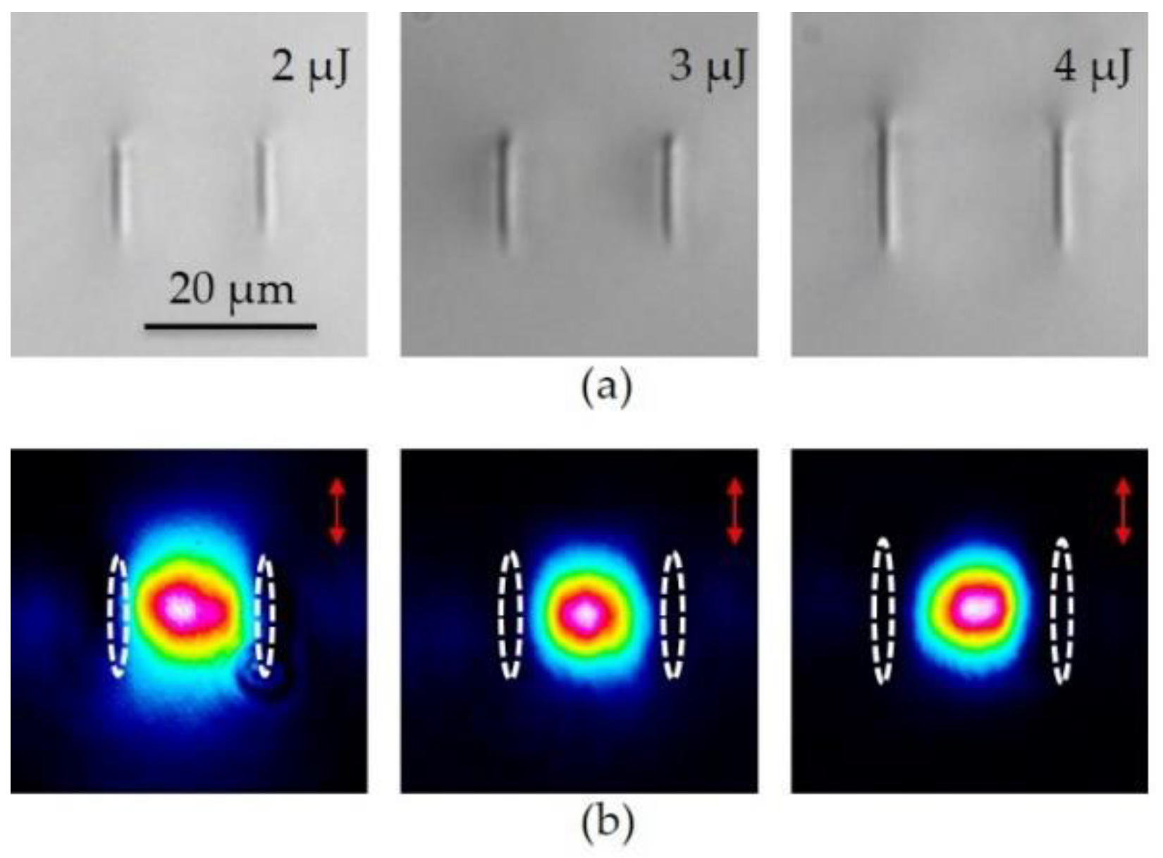 Crystals 09 00434 g007