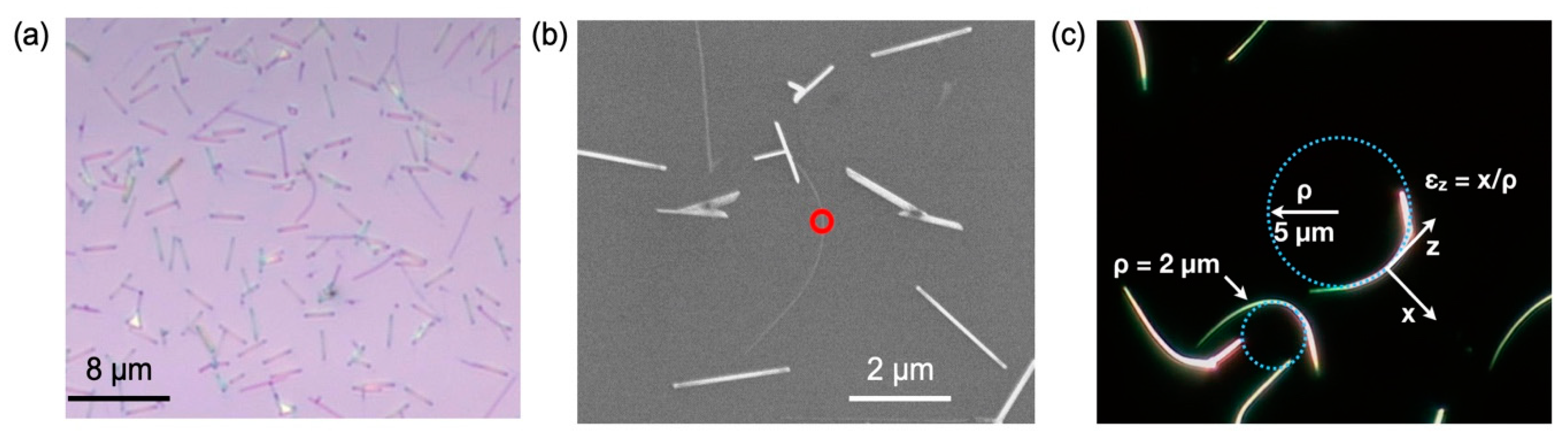 Crystals 09 00486 g004