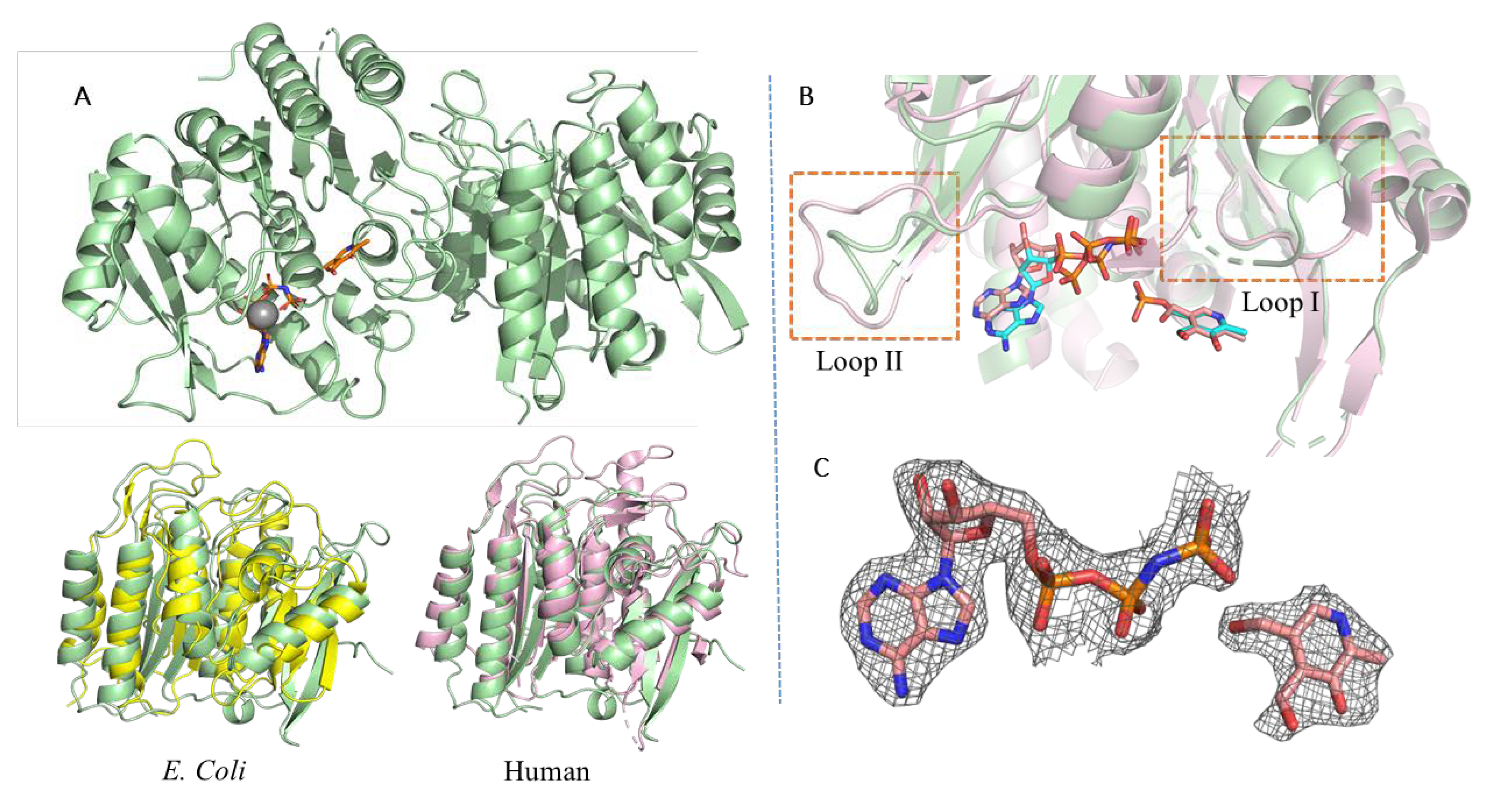 Crystals 09 00534 g002