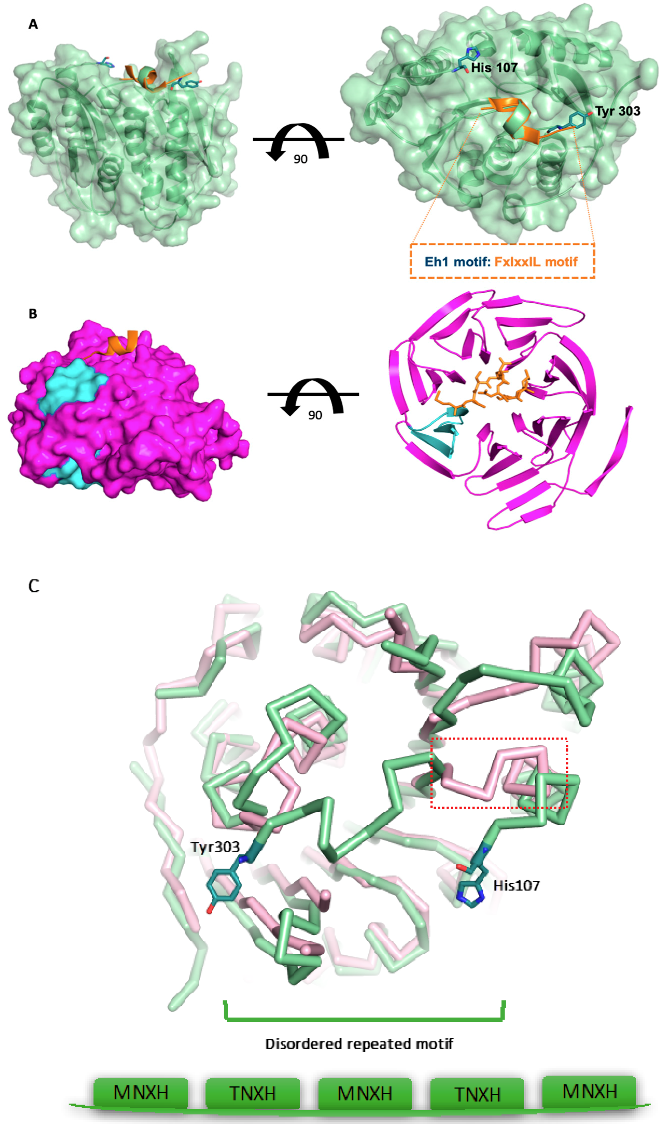 Crystals 09 00534 g004