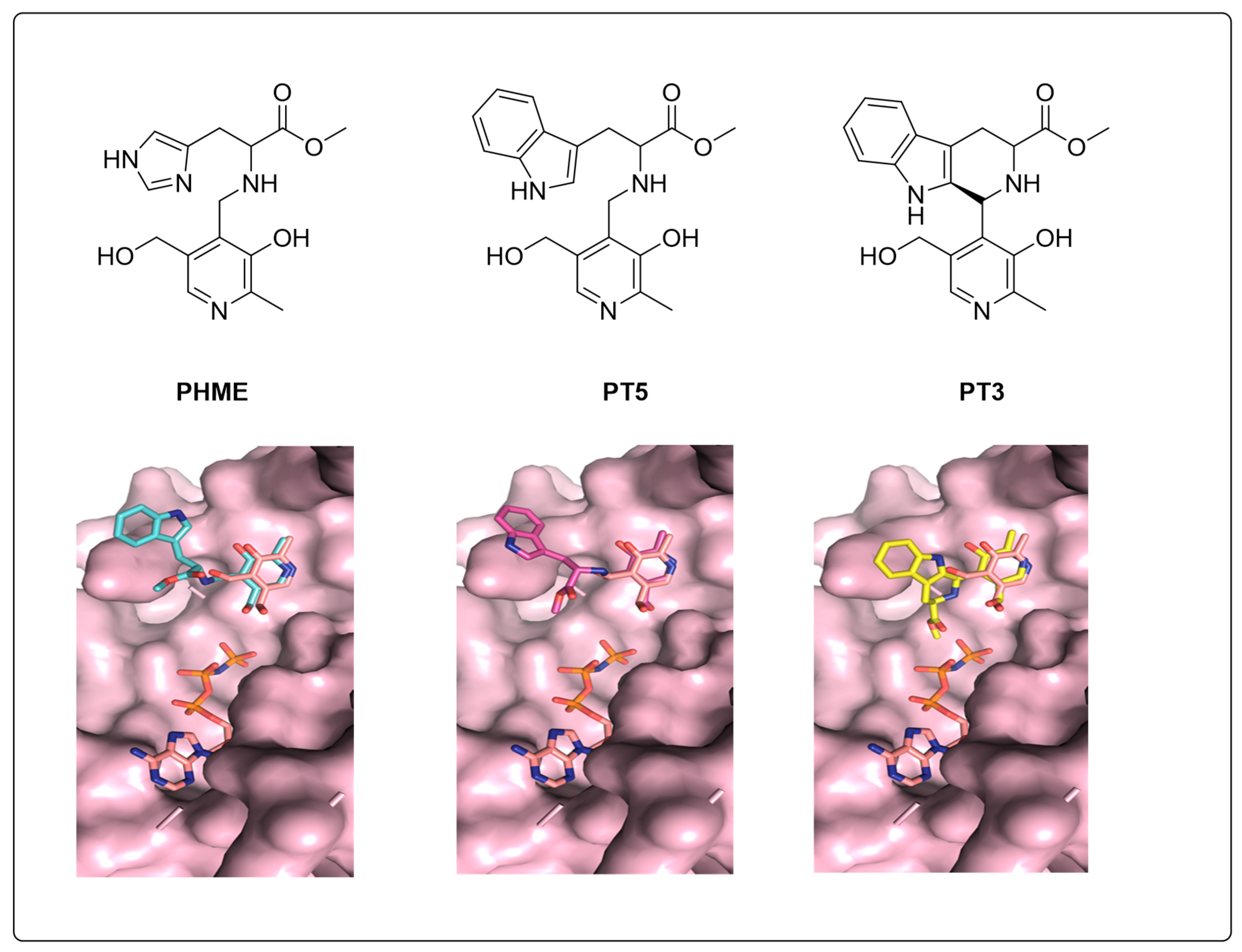 Crystals 09 00534 g005