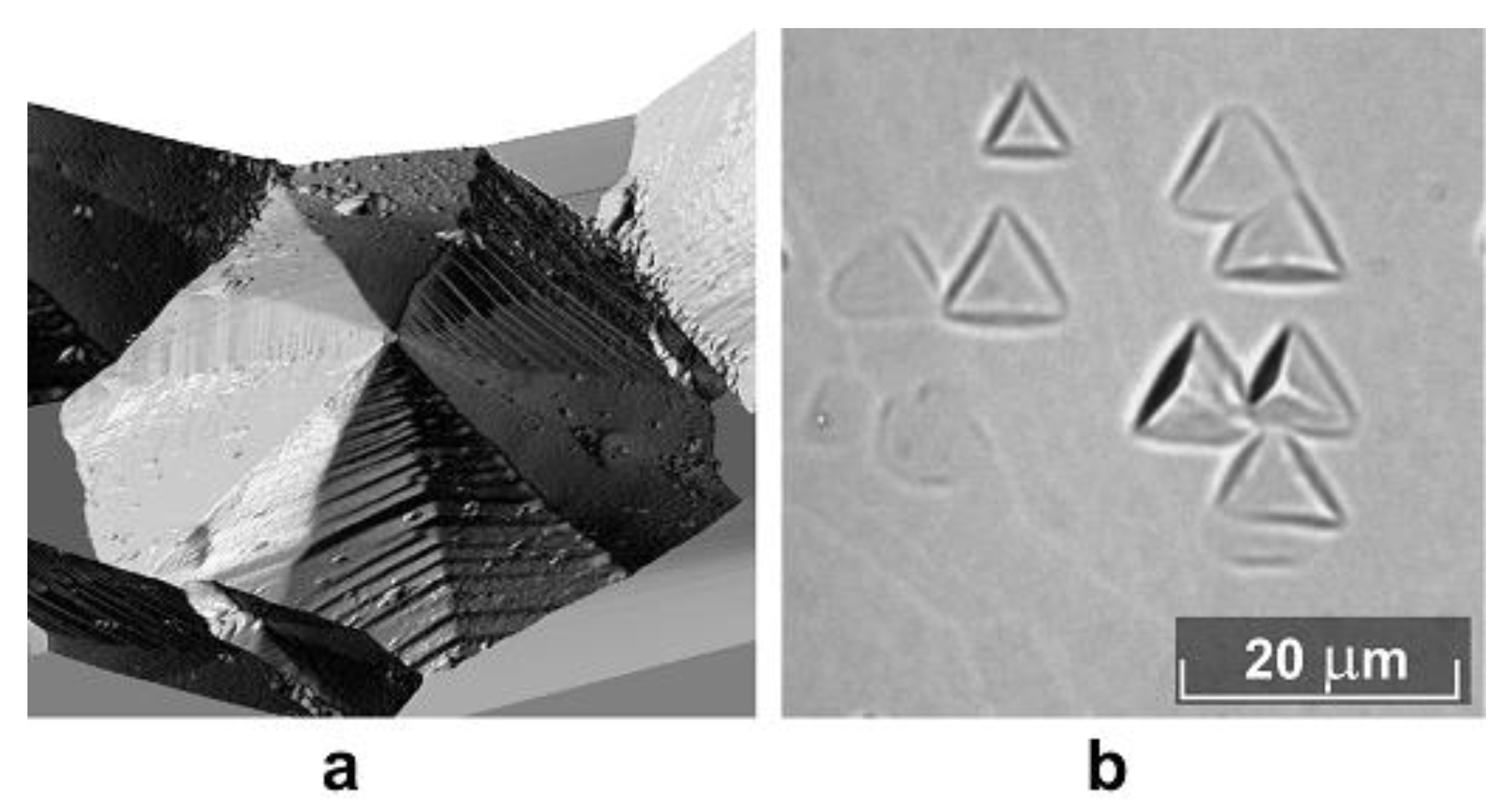 Crystals 09 00535 g003