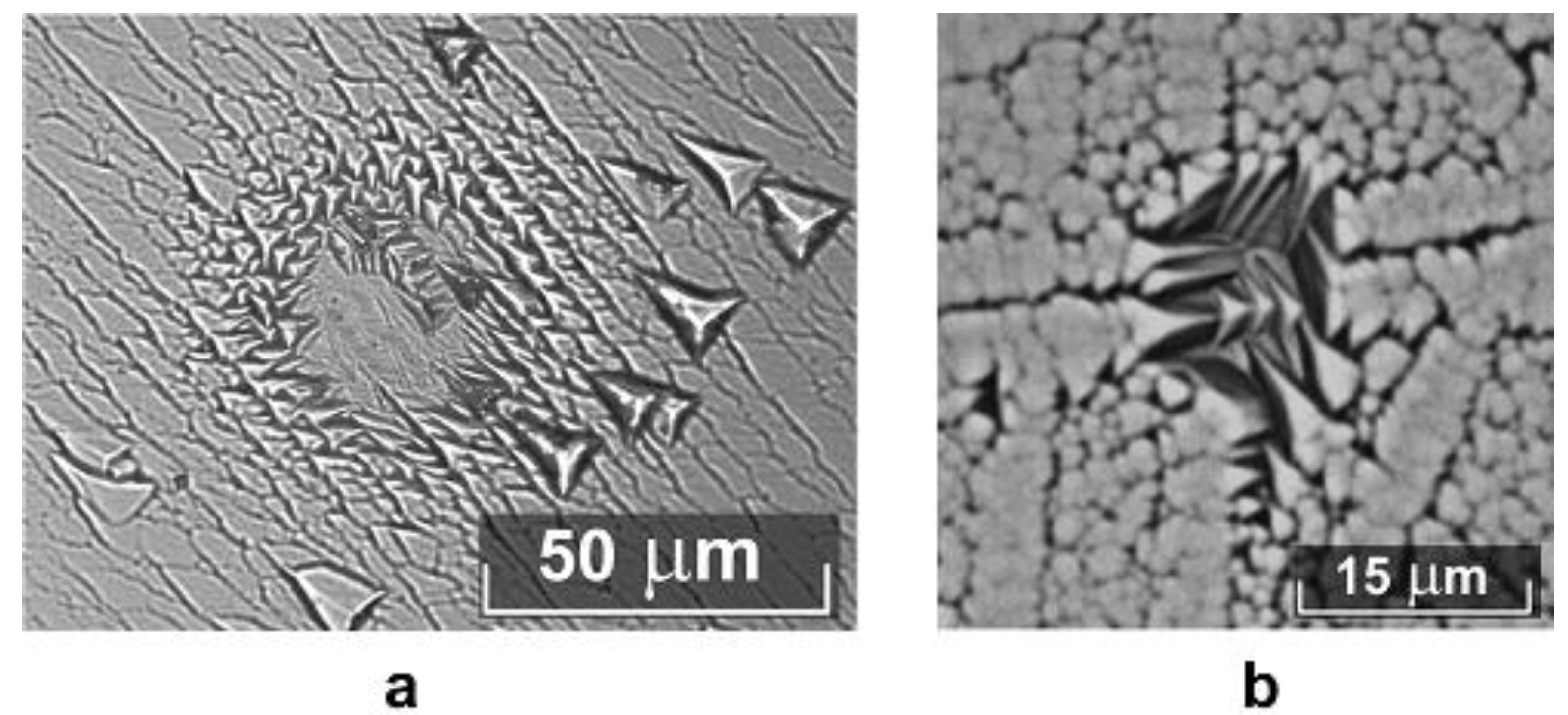 Crystals 09 00535 g012