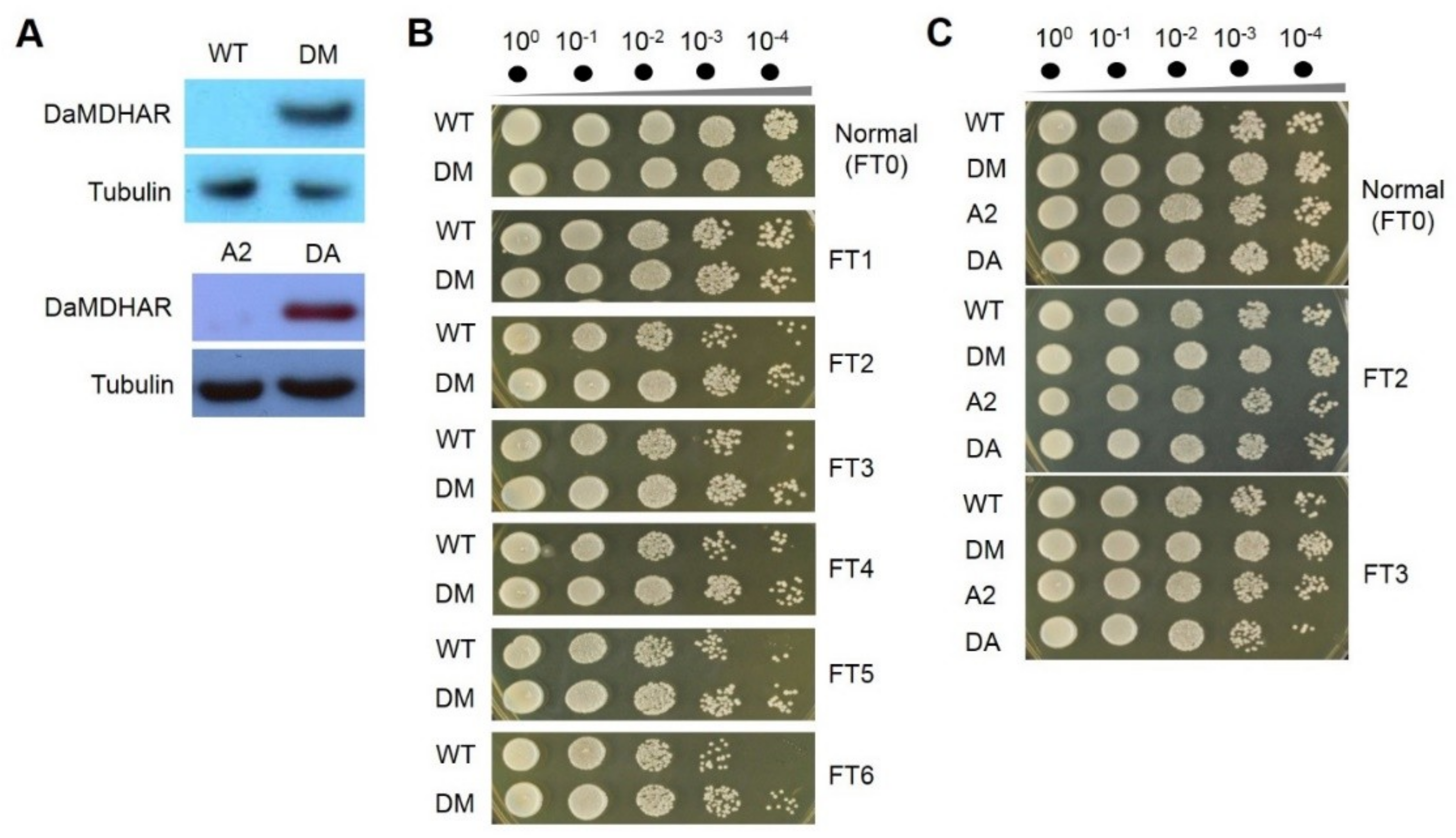 Crystals 09 00537 g004