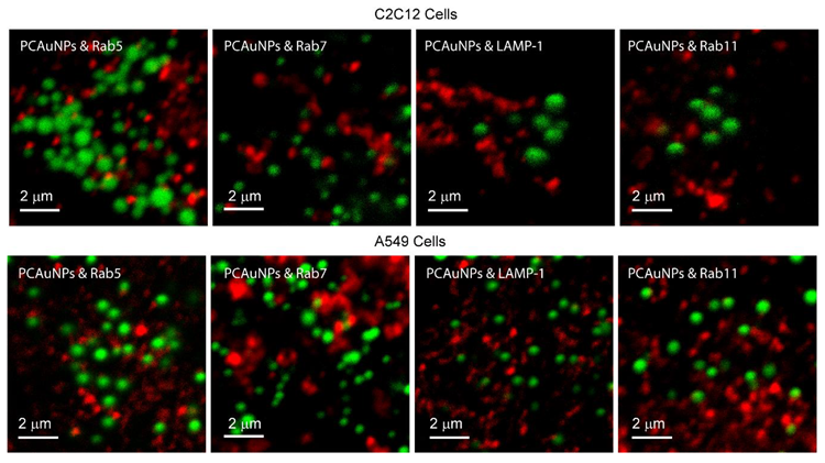 Crystals 09 00544 g003 Crystals 09 00544 g003