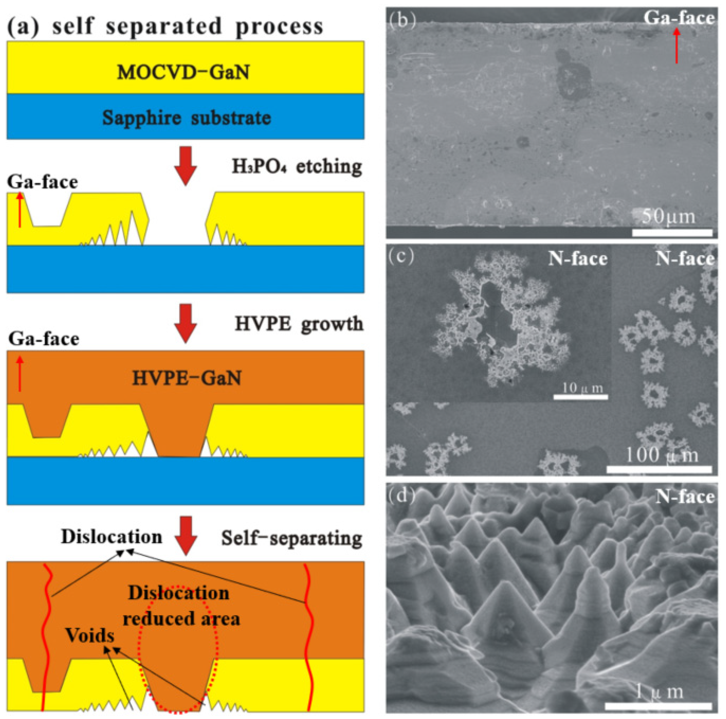 Crystals 09 00547 g004