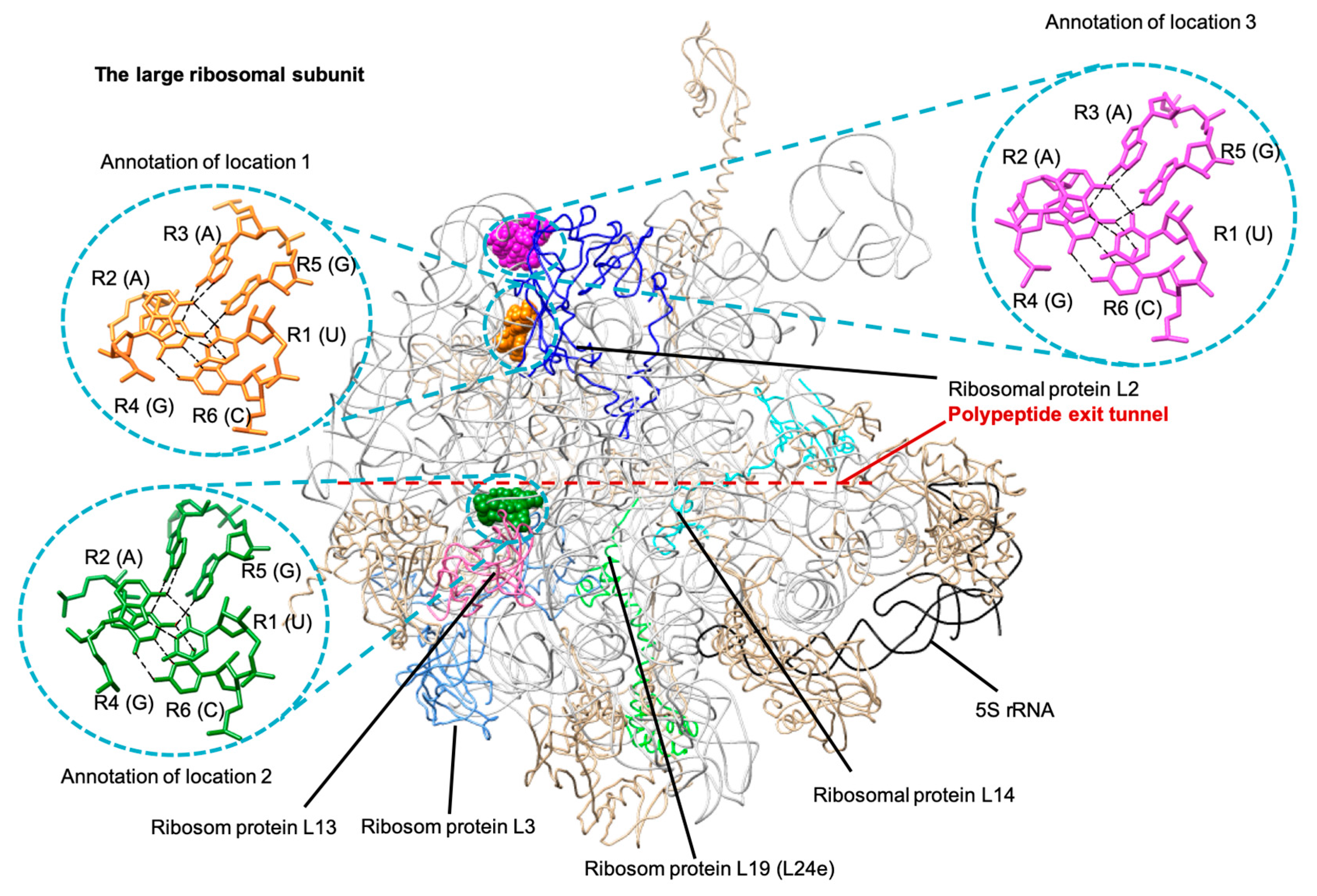 Crystals 09 00550 g005 Crystals 09 00550 g005
