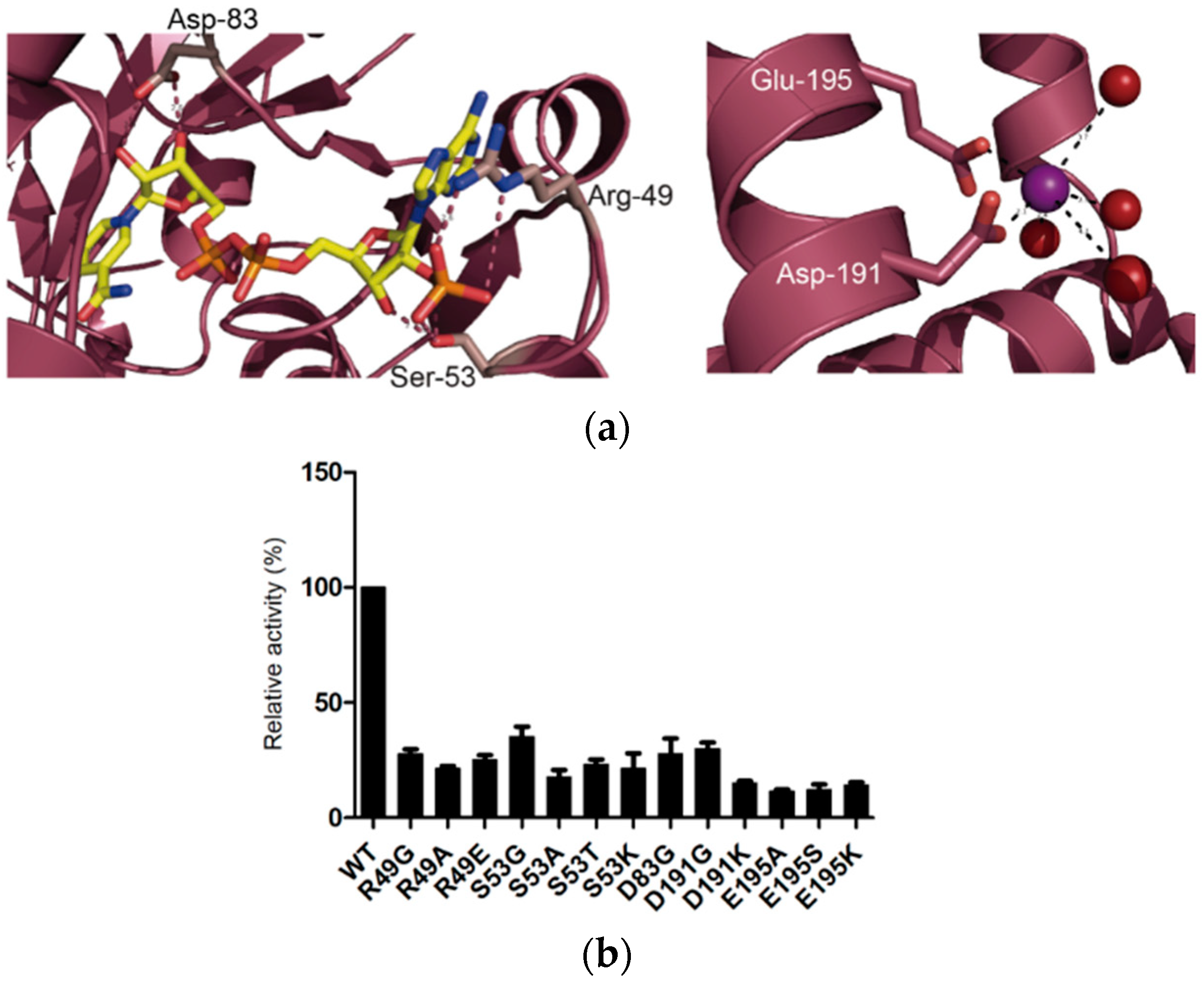 Crystals 09 00551 g003 Crystals 09 00551 g003