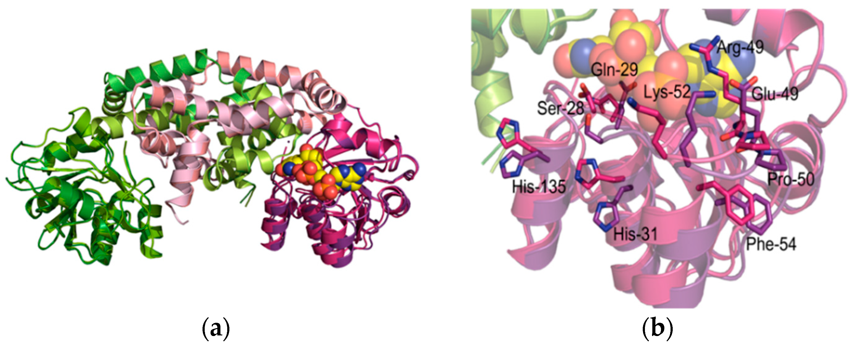 Crystals 09 00551 g004a Crystals 09 00551 g004a