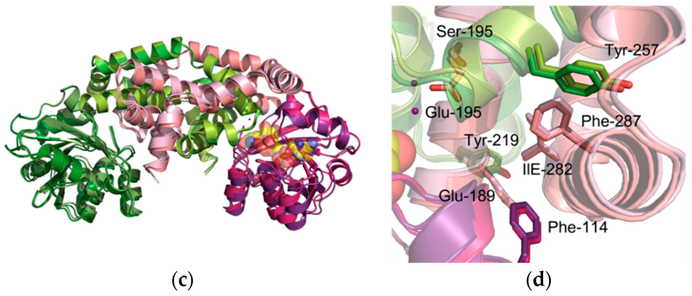Crystals 09 00551 g004b Crystals 09 00551 g004b