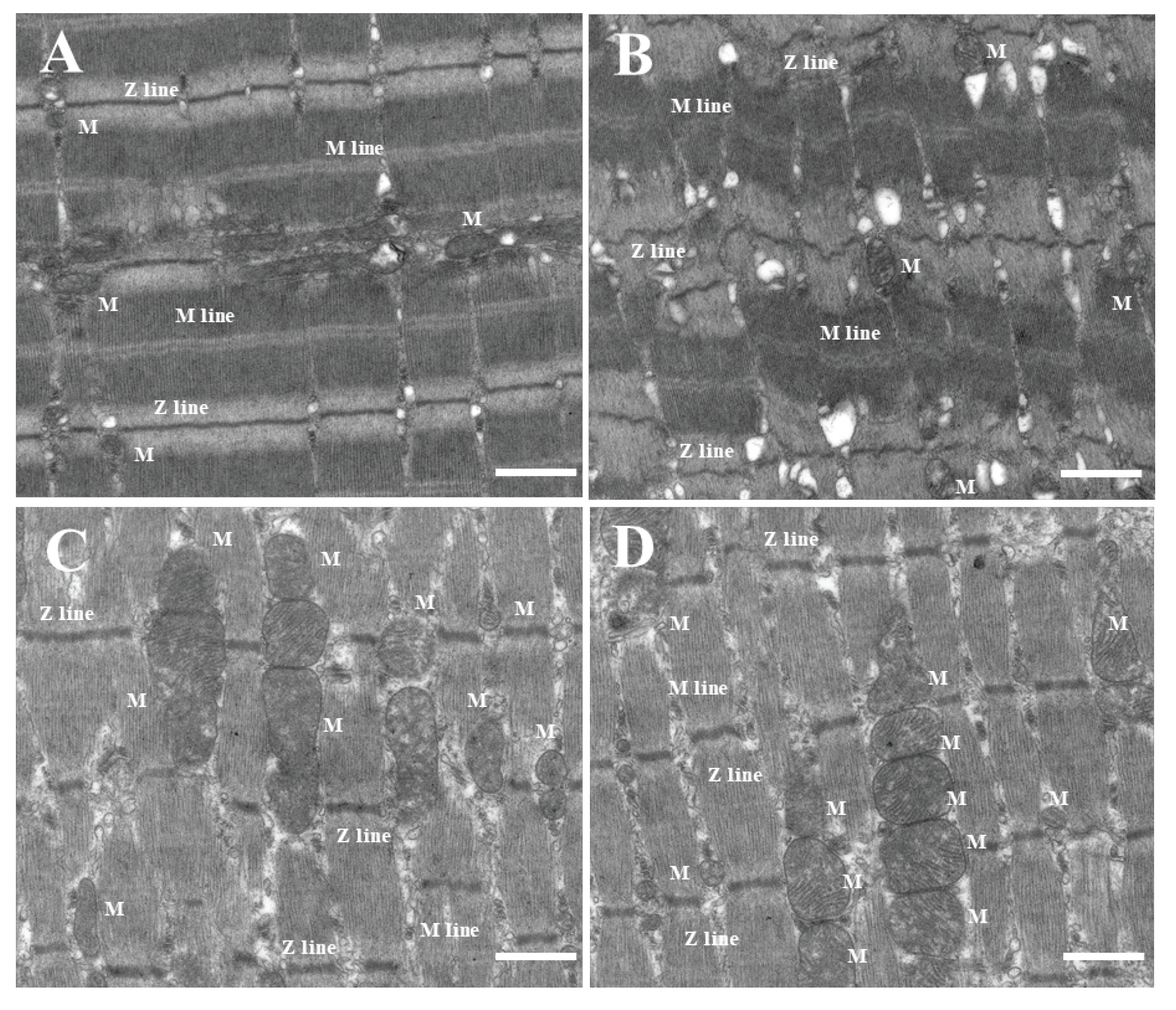 Crystals 09 00559 g005