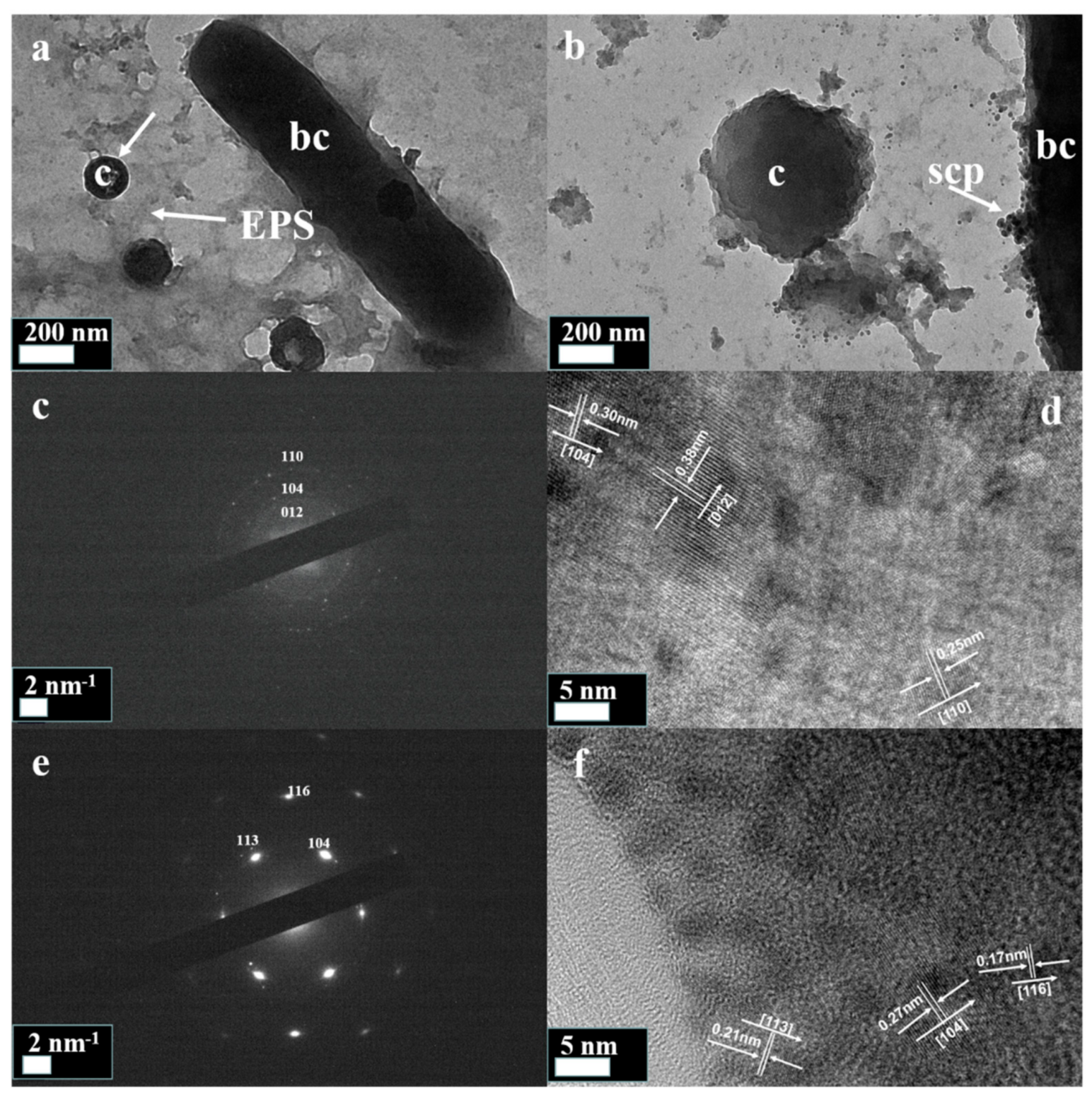 Crystals 09 00633 g004 550