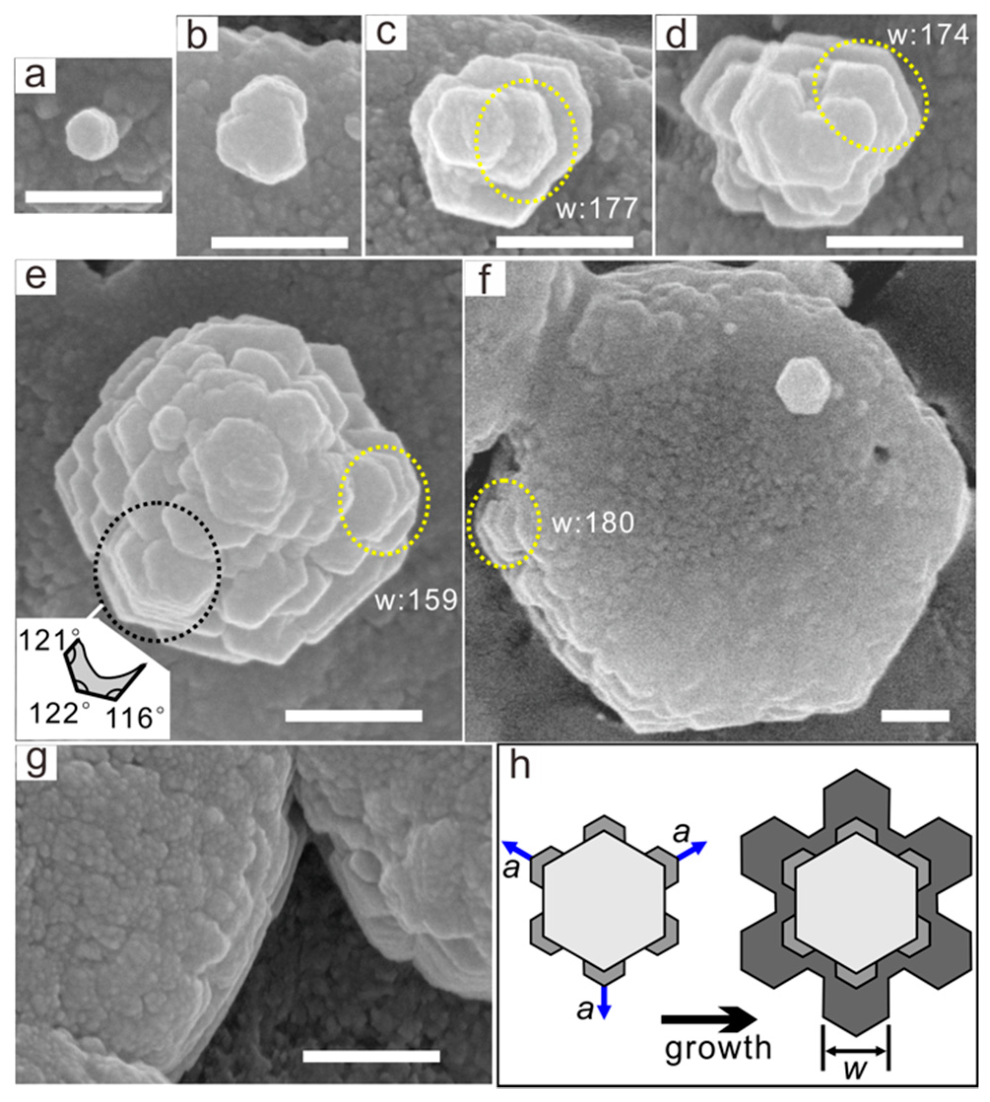 Crystals 10 00003 g003 Crystals 10 00003 g003