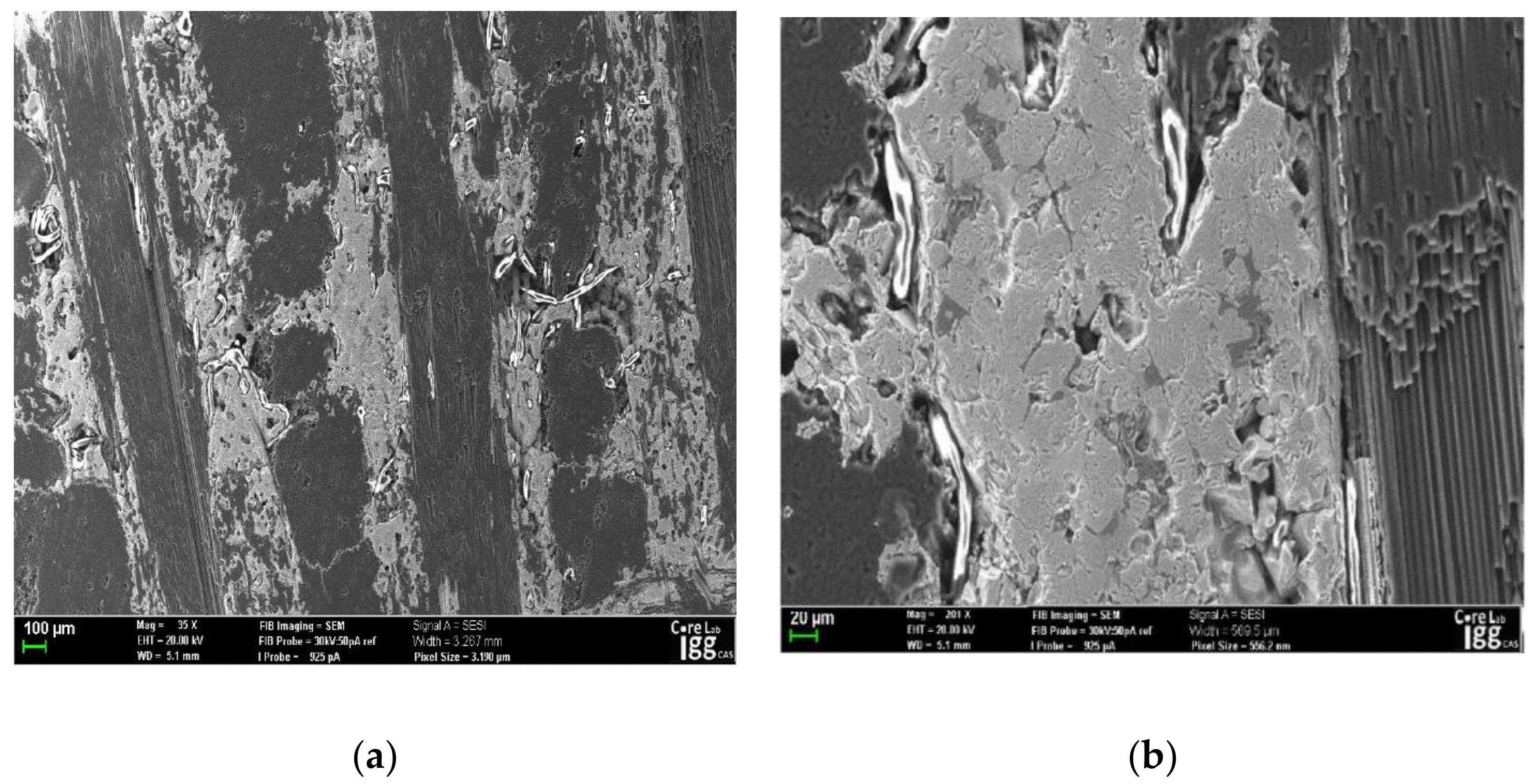 Crystals 10 00029 g002