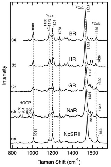 Crystals Free Full Text Raman Scattering From Structural Biology To Medical Applications Html