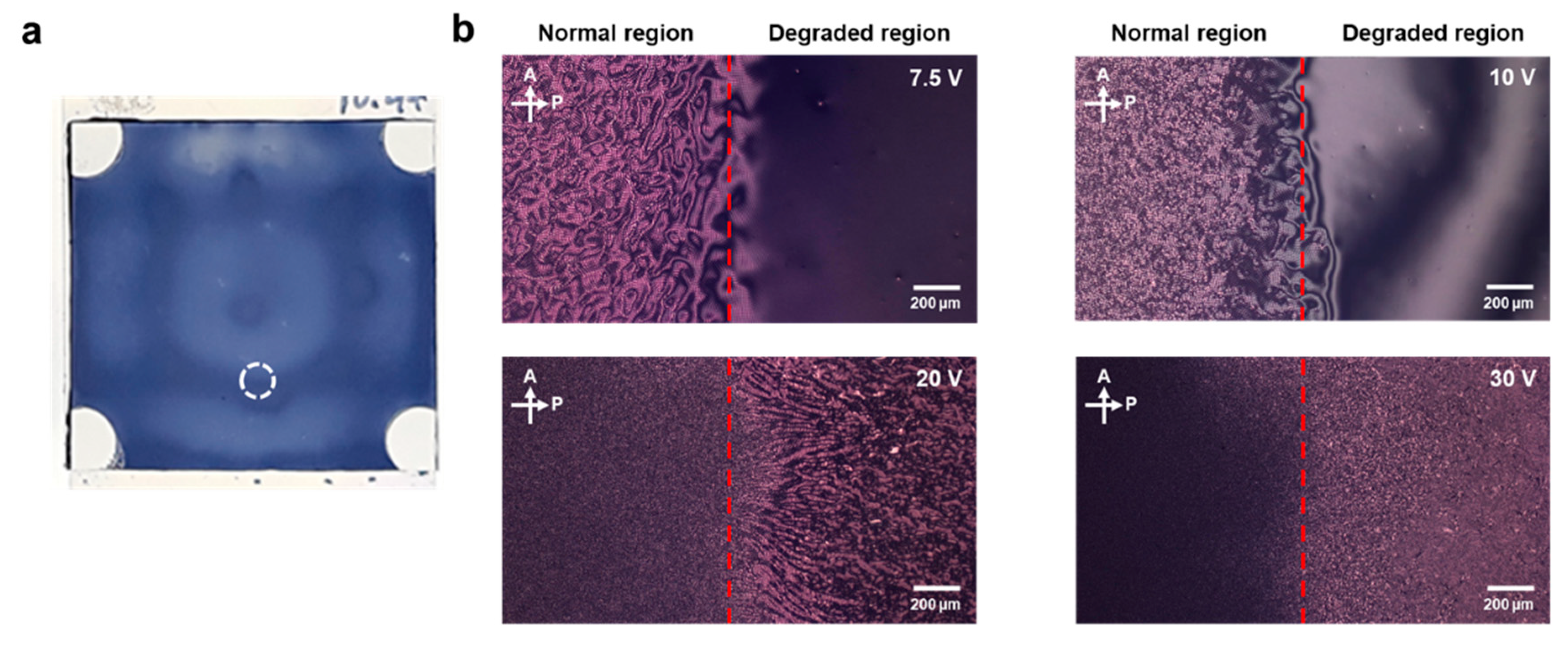 Crystals 10 00055 g004 Crystals 10 00055 g004