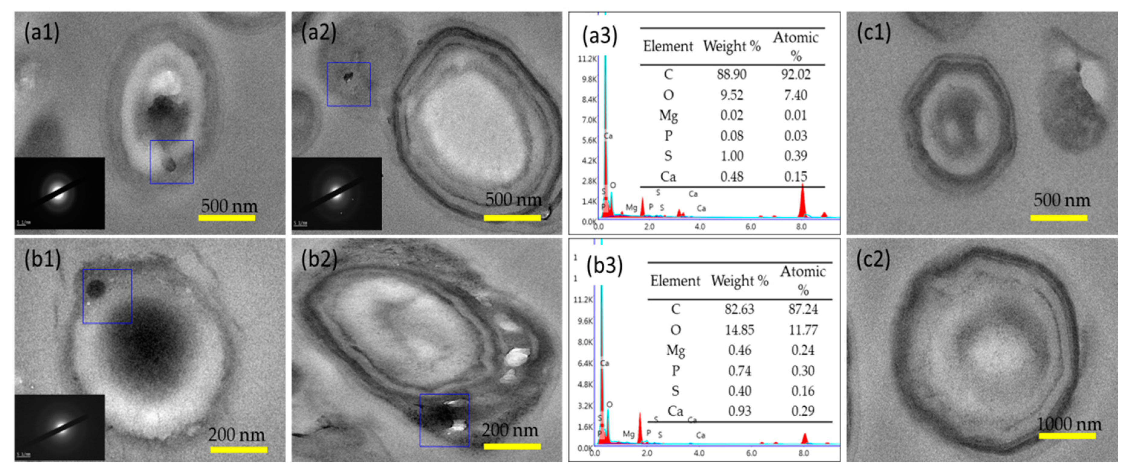 Crystals 10 00058 g009