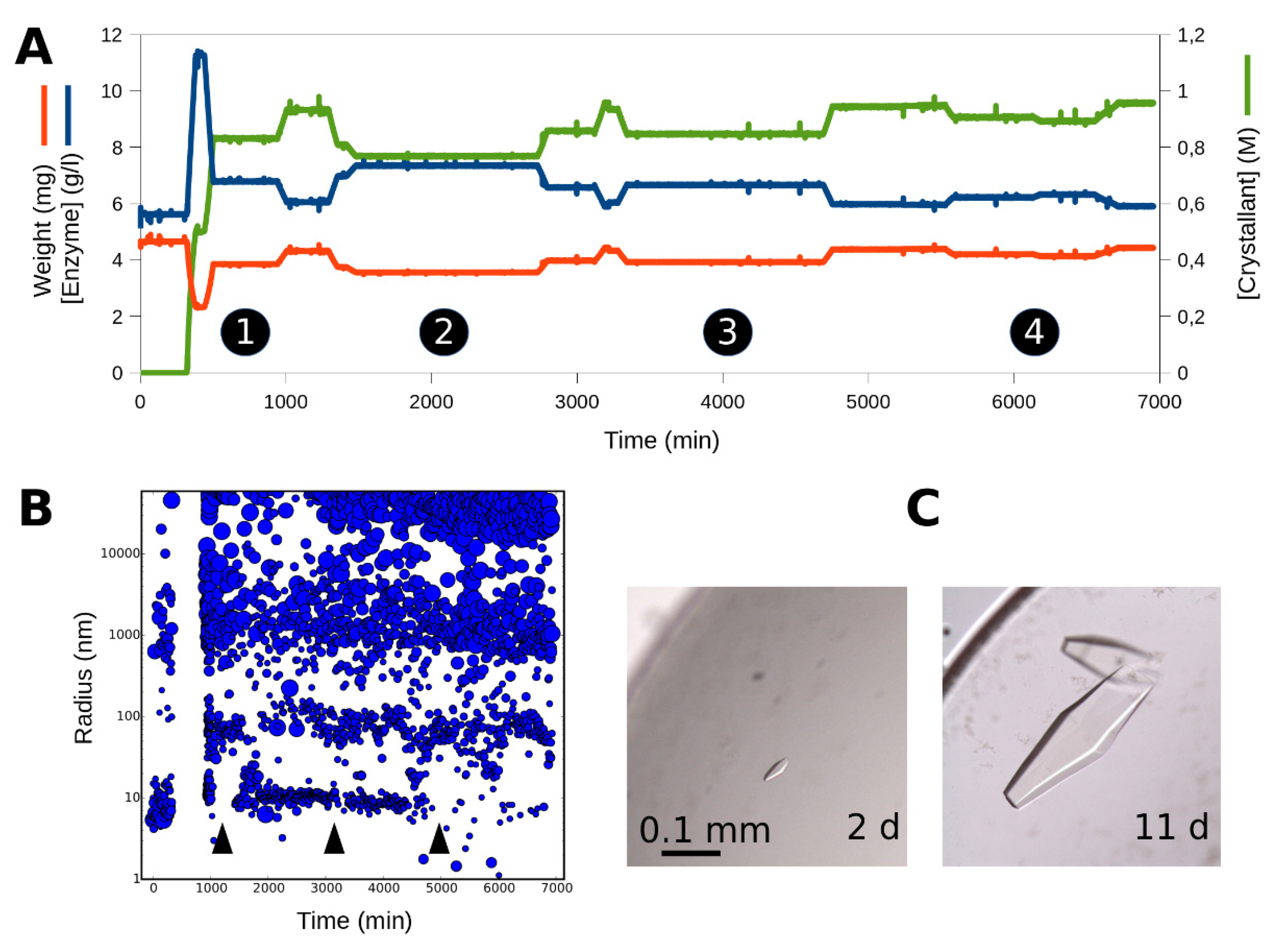 Crystals 10 00065 g003