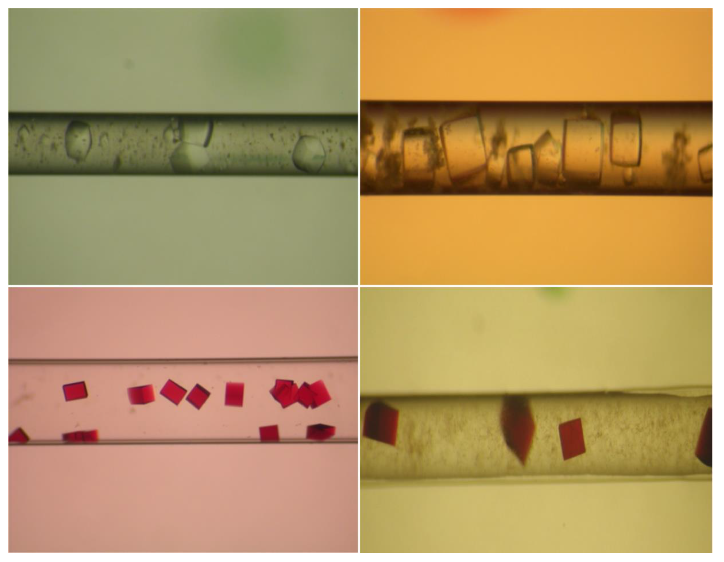 Crystals 10 00068 g002 Crystals 10 00068 g002