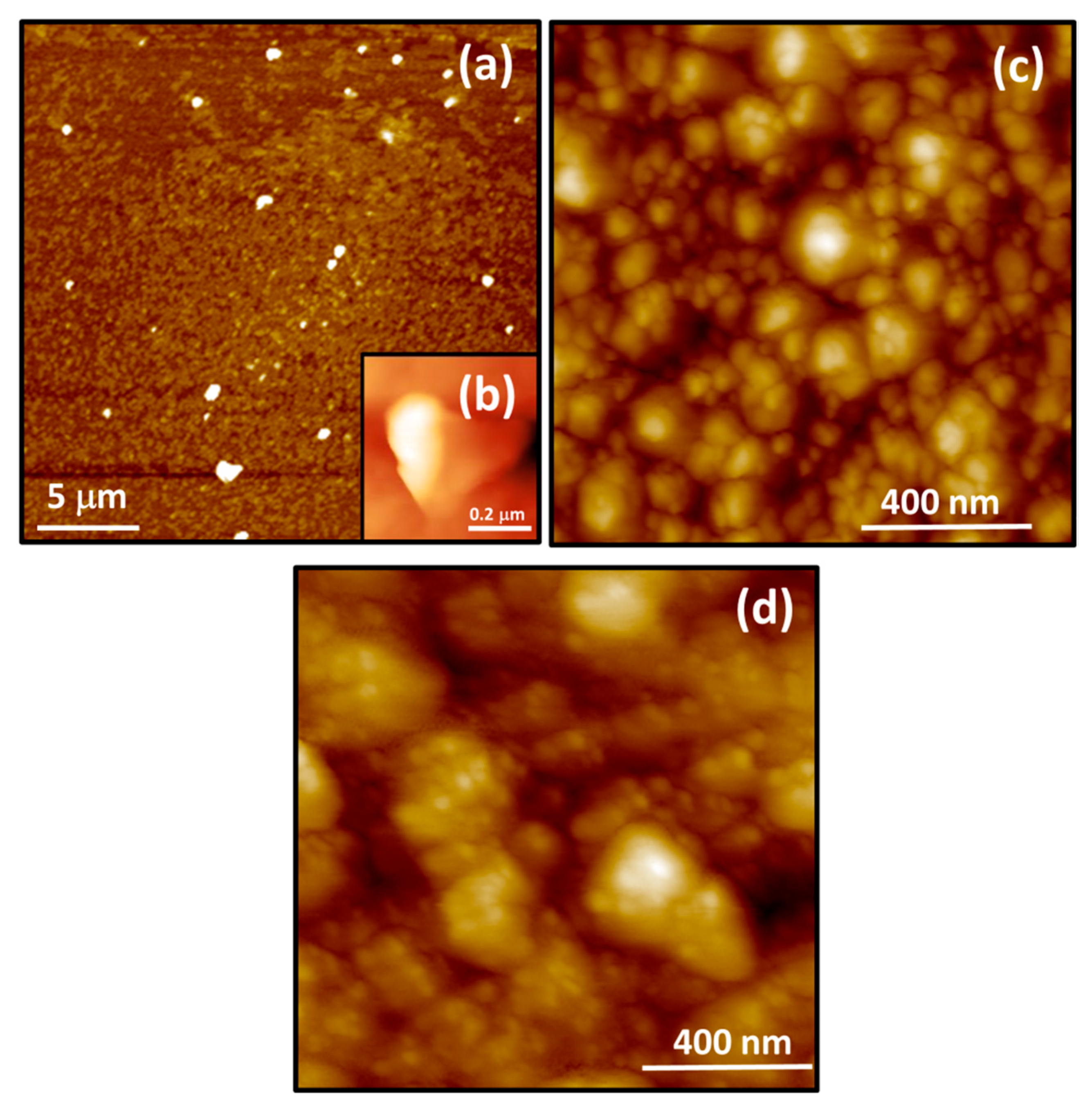 Crystals 10 00073 g005