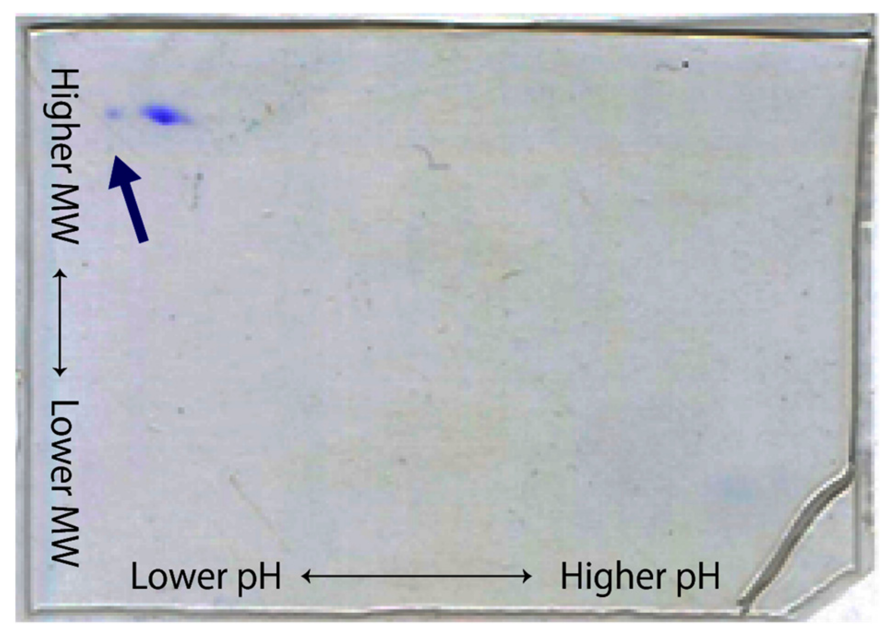 Crystals 10 00078 g004
