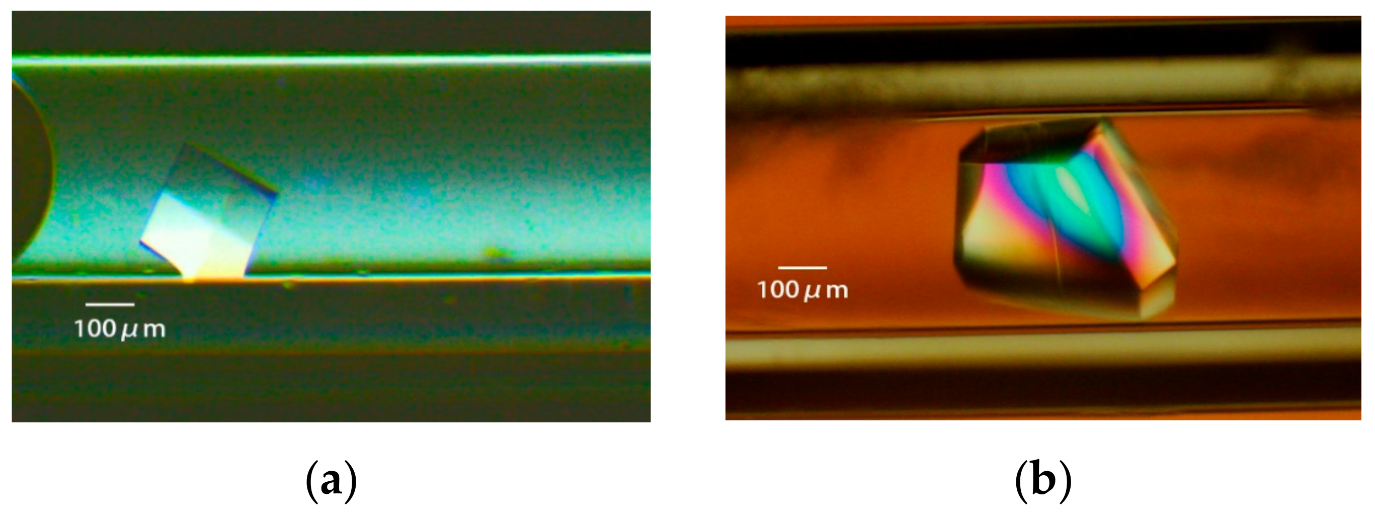 Crystals 10 00078 g008a