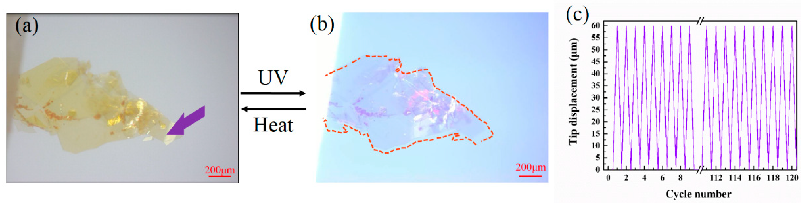Crystals 10 00092 g004 Crystals 10 00092 g004