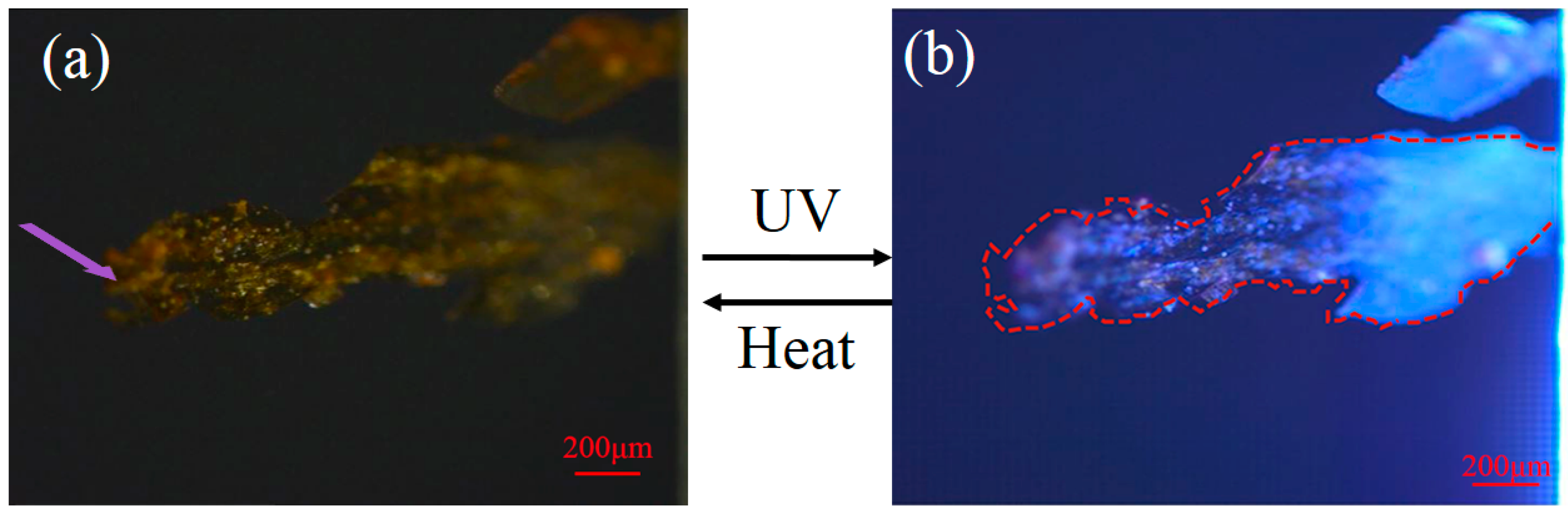 Crystals 10 00092 g005 Crystals 10 00092 g005