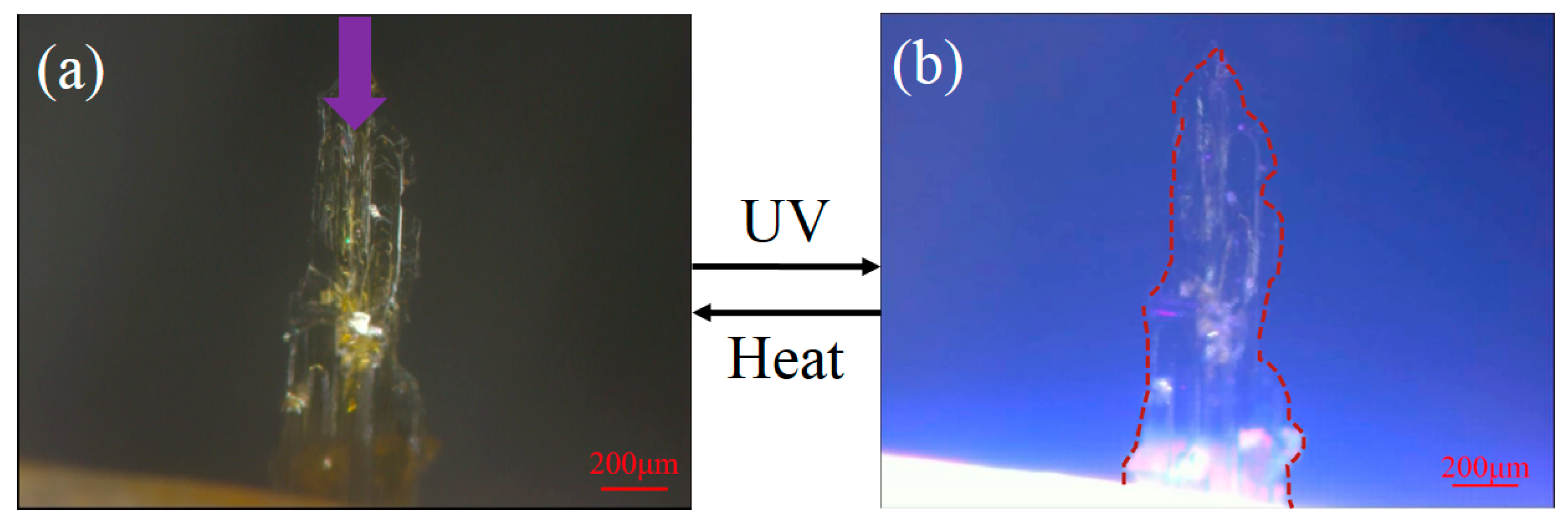 Crystals 10 00092 g006 Crystals 10 00092 g006