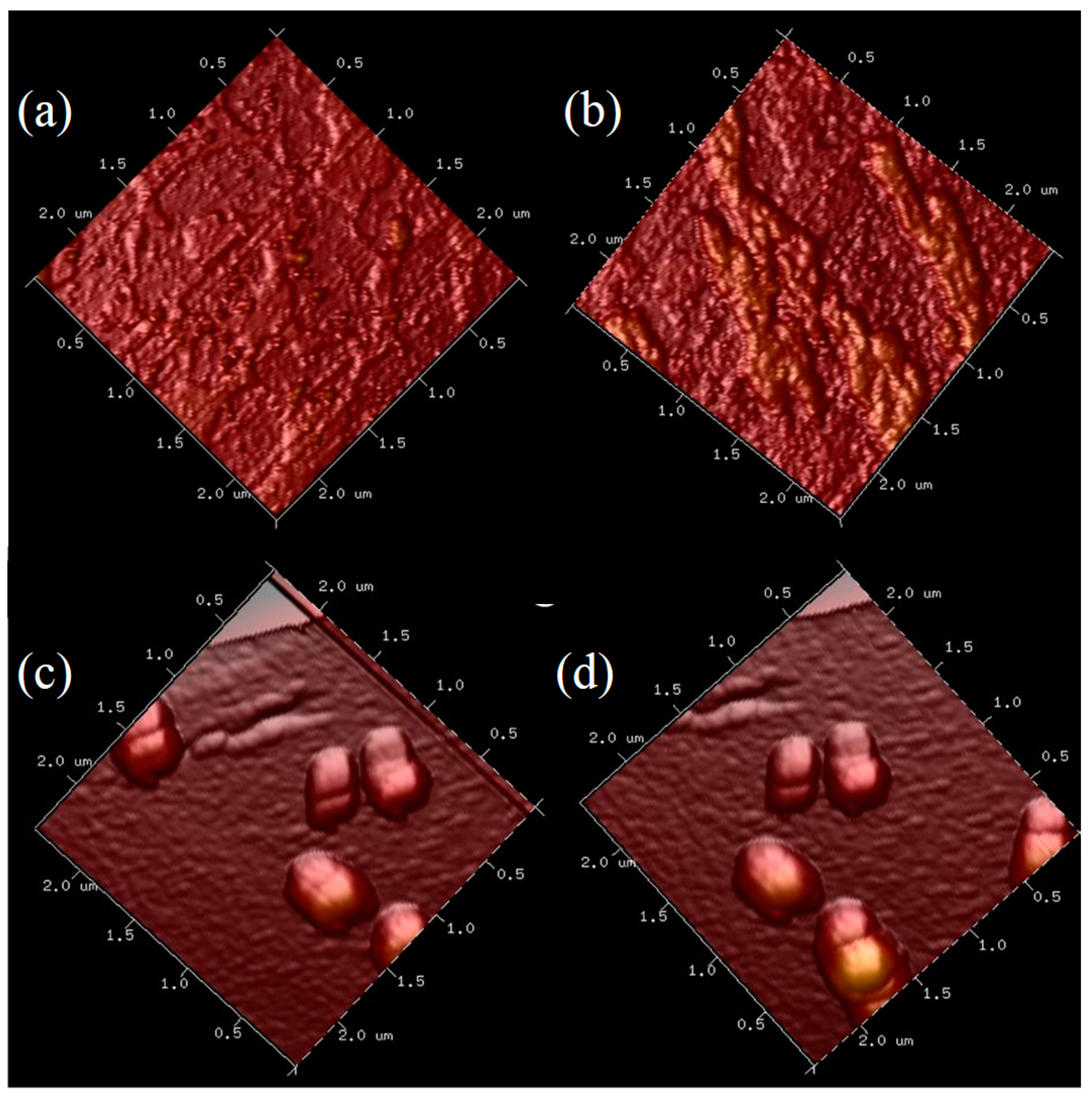 Crystals 10 00092 g010 Crystals 10 00092 g010