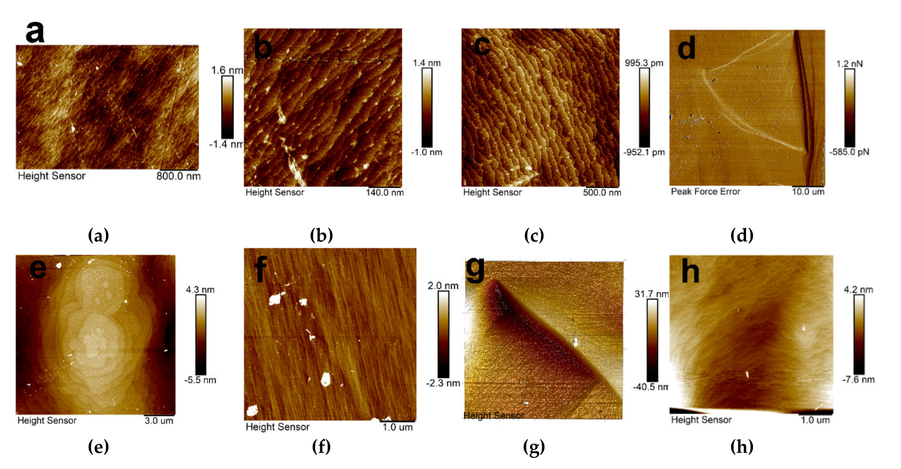 Crystals 10 00108 g003 Crystals 10 00108 g003