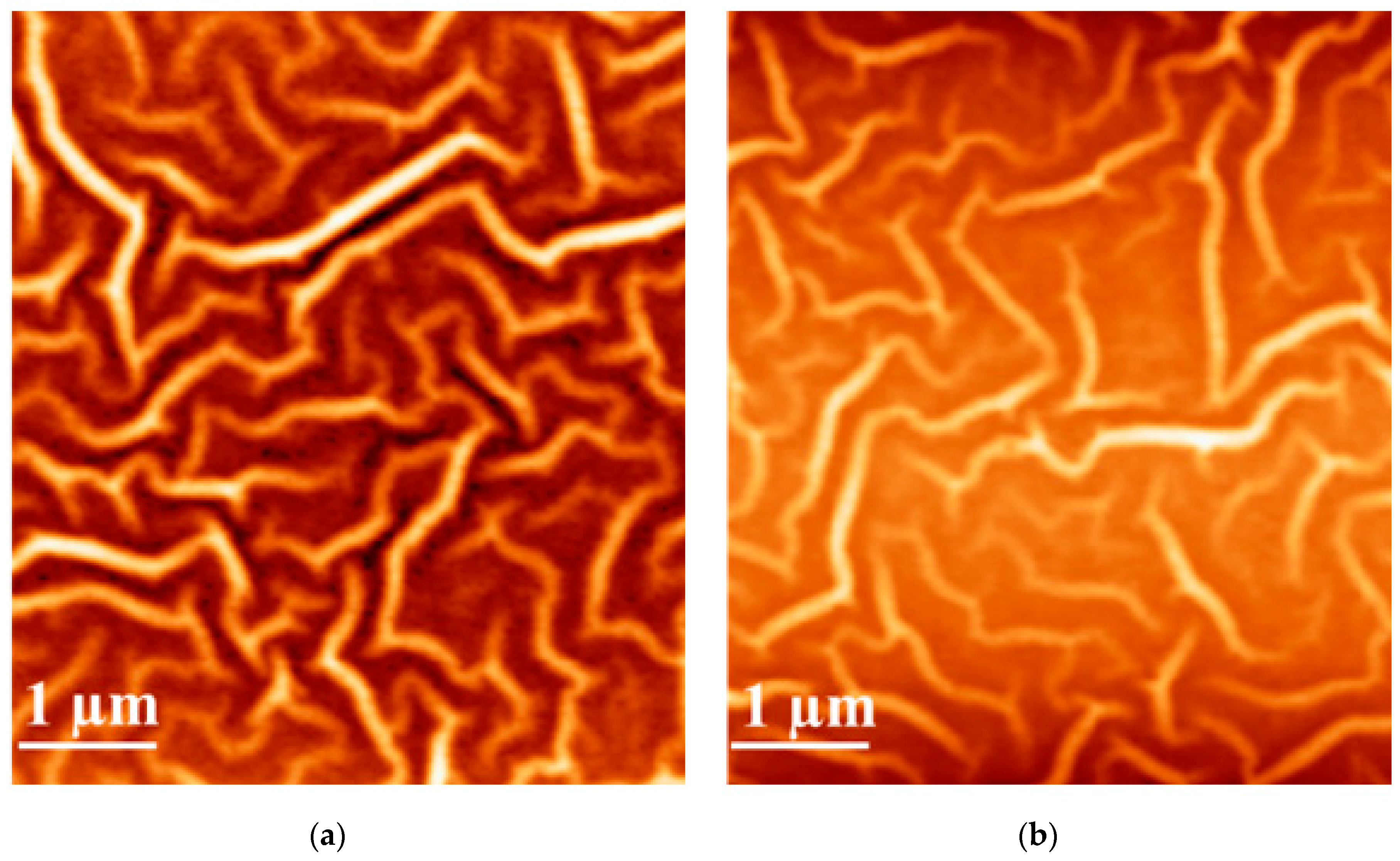 Crystals 10 00113 g003