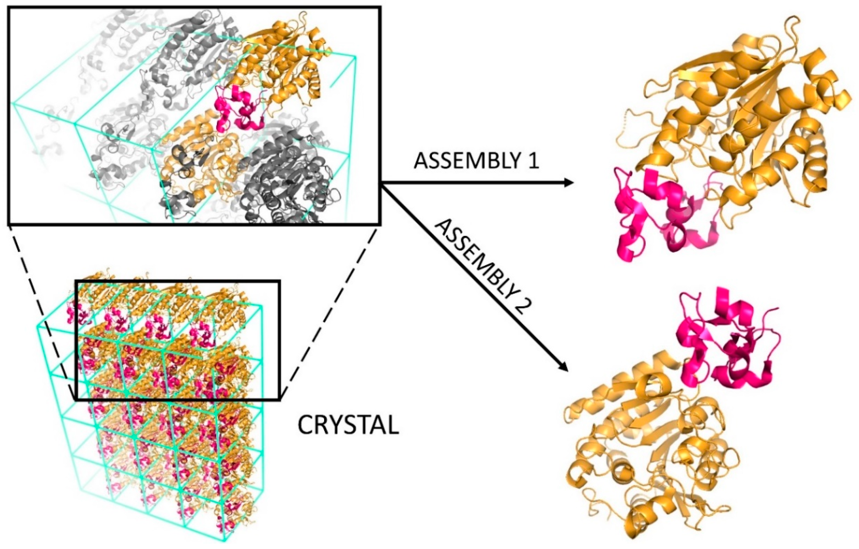 Crystals 10 00114 g002