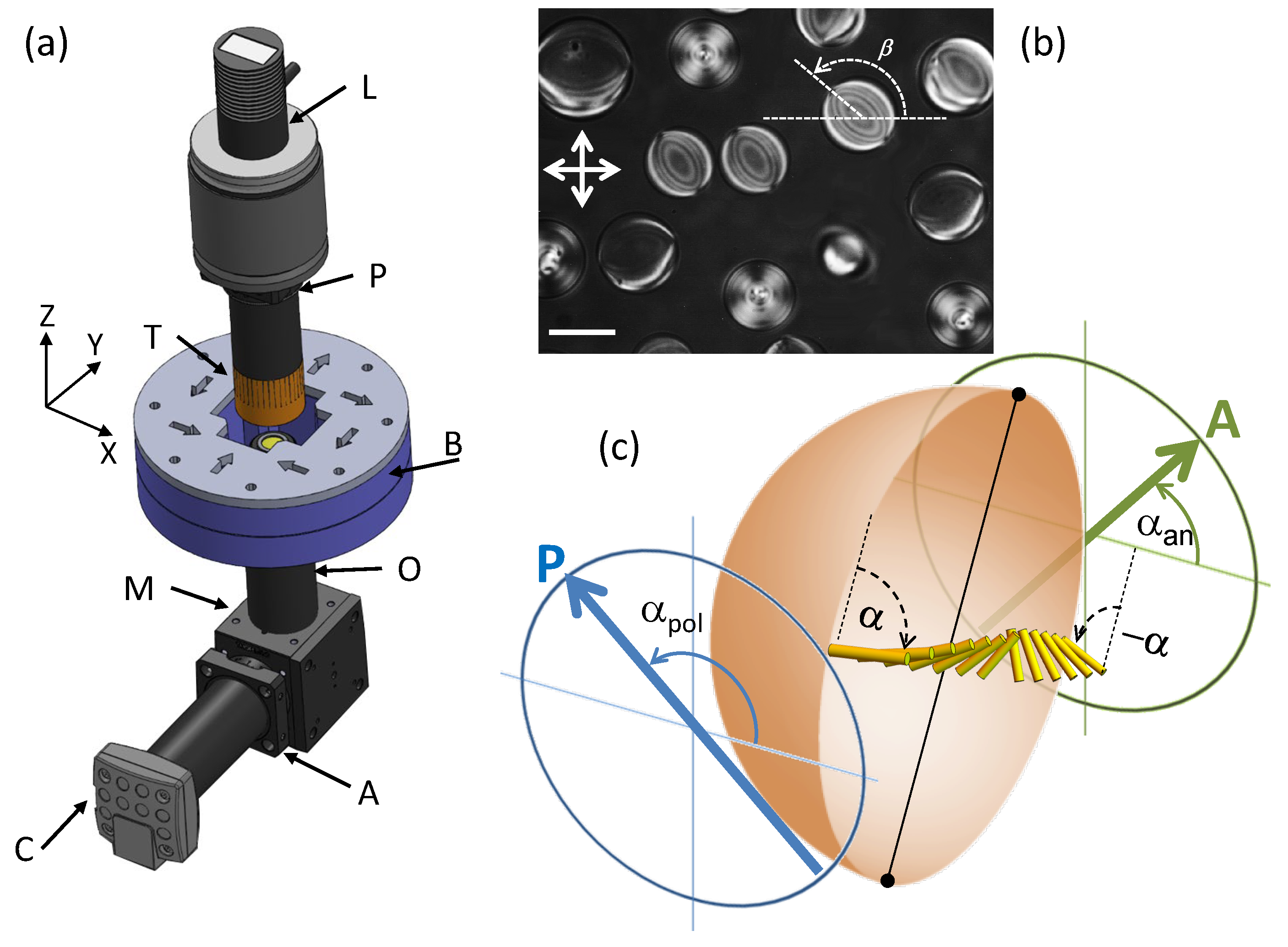 Crystals 10 00138 g001 Crystals 10 00138 g001
