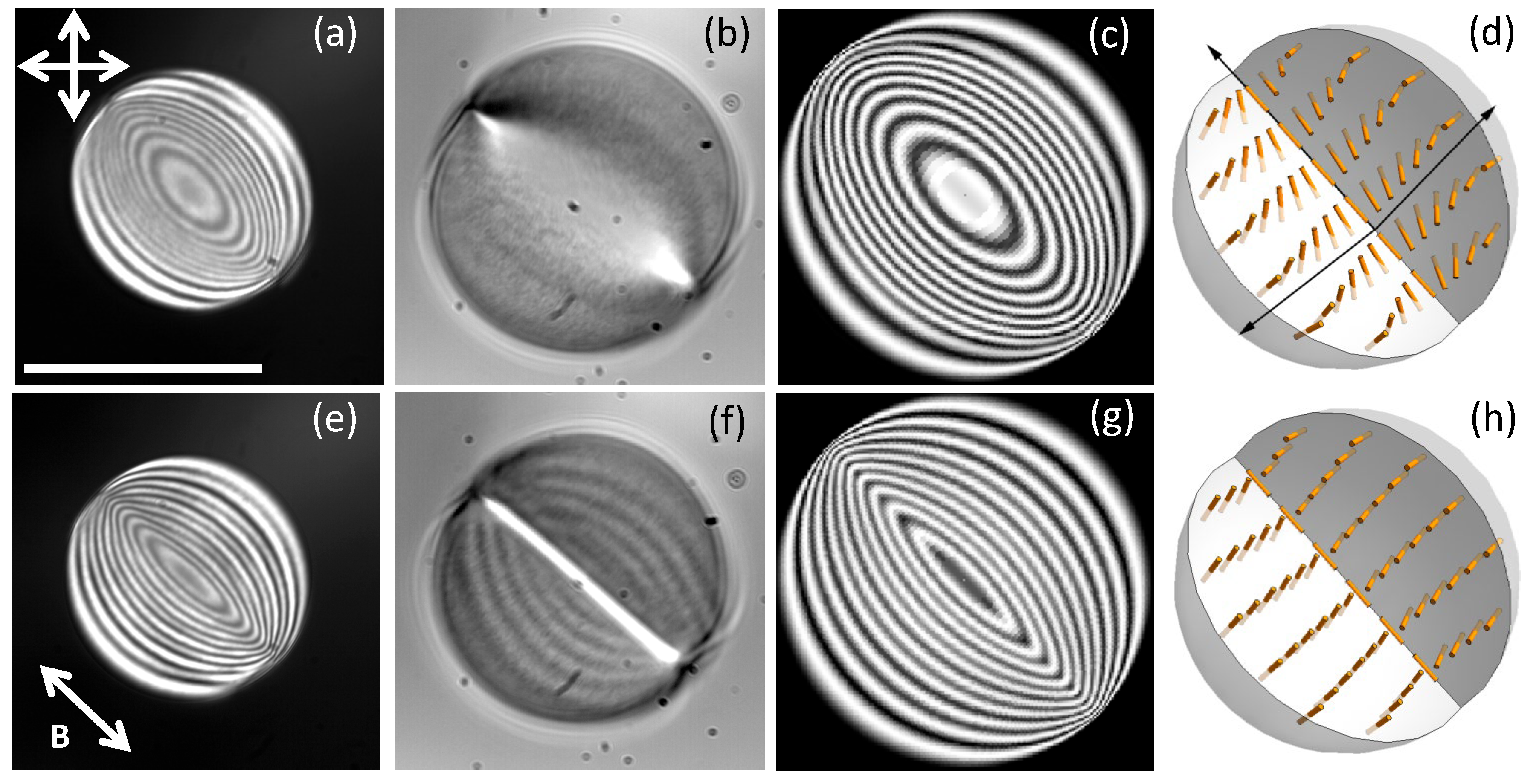 Crystals 10 00138 g002 Crystals 10 00138 g002