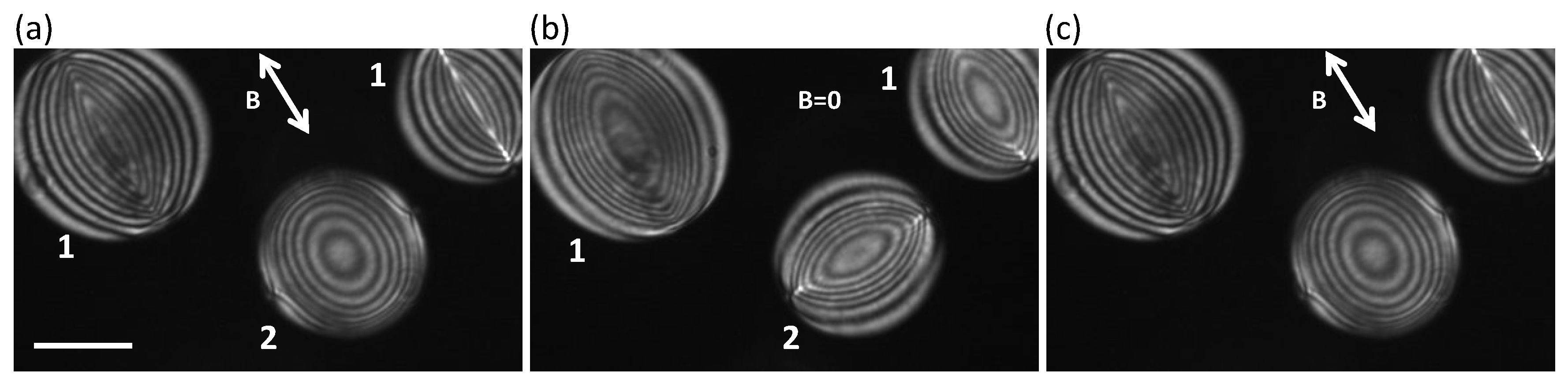 Crystals 10 00138 g005 Crystals 10 00138 g005