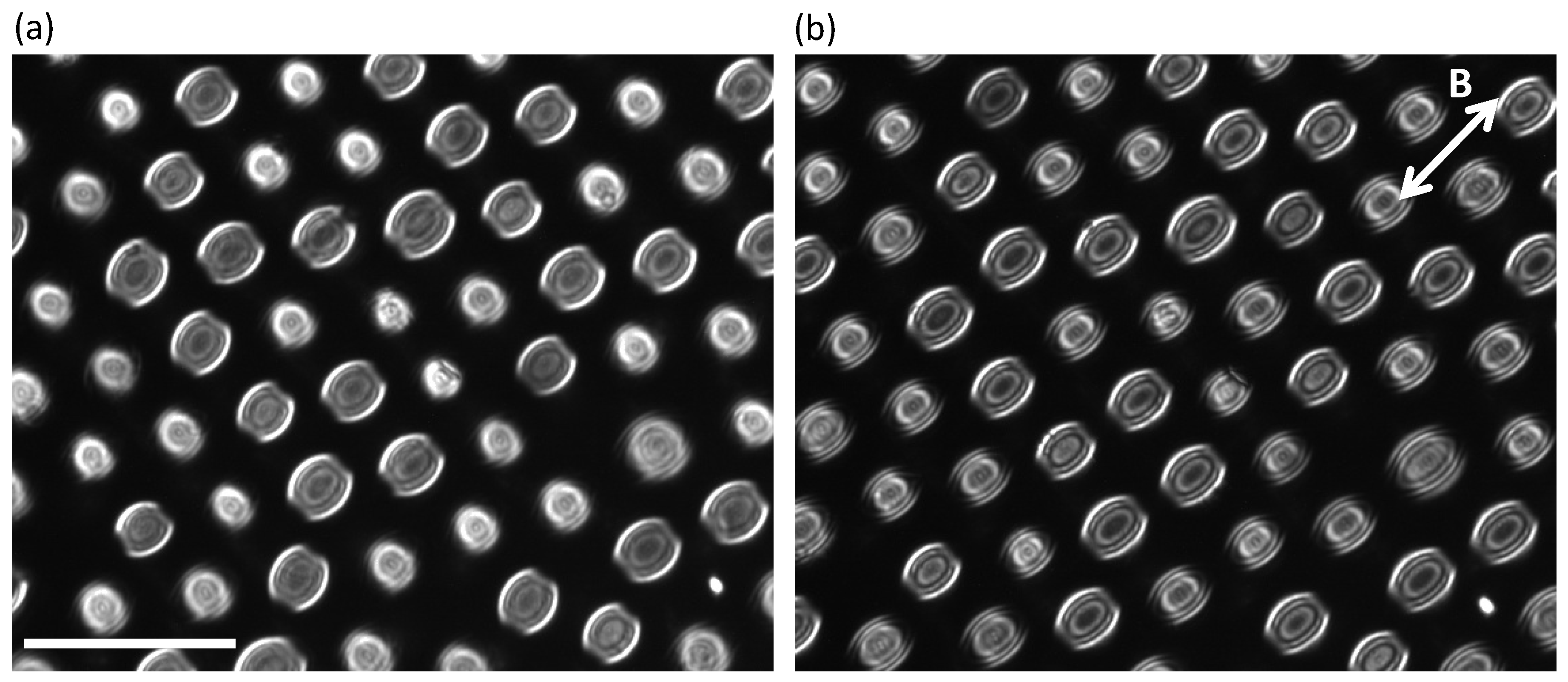 Crystals 10 00138 g006 Crystals 10 00138 g006