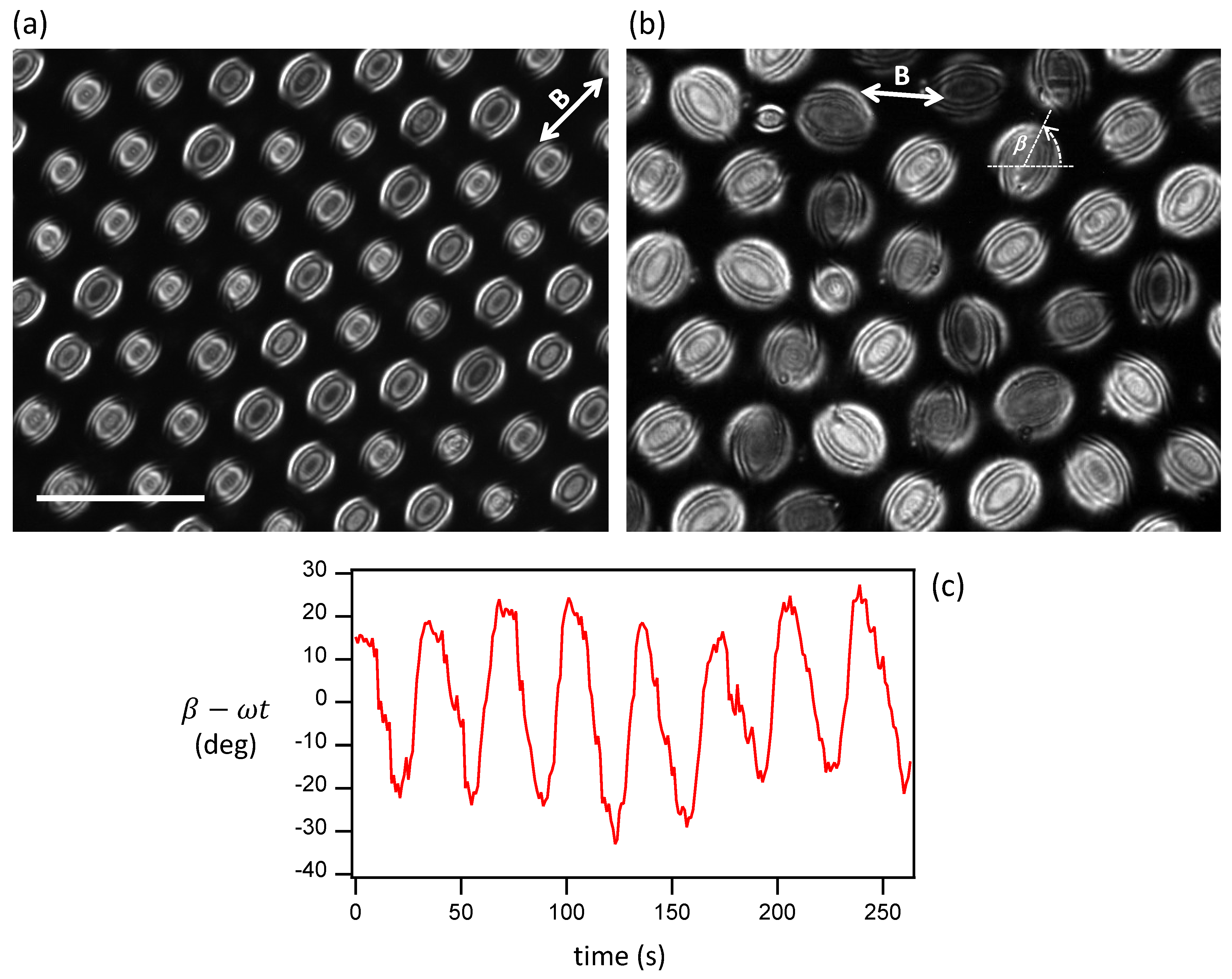 Crystals 10 00138 g007 Crystals 10 00138 g007