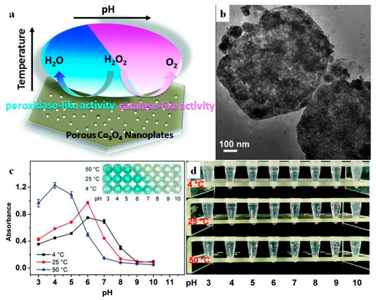 ★決算特価商品★ Antioxidant Review A Nanostructures: 2D on Based Materials ビカクシダ