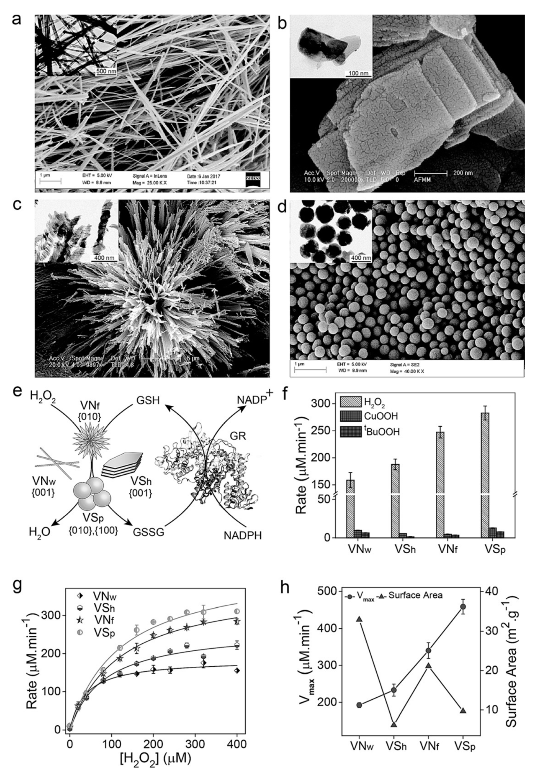 Crystals 10 00148 g004 Crystals 10 00148 g004