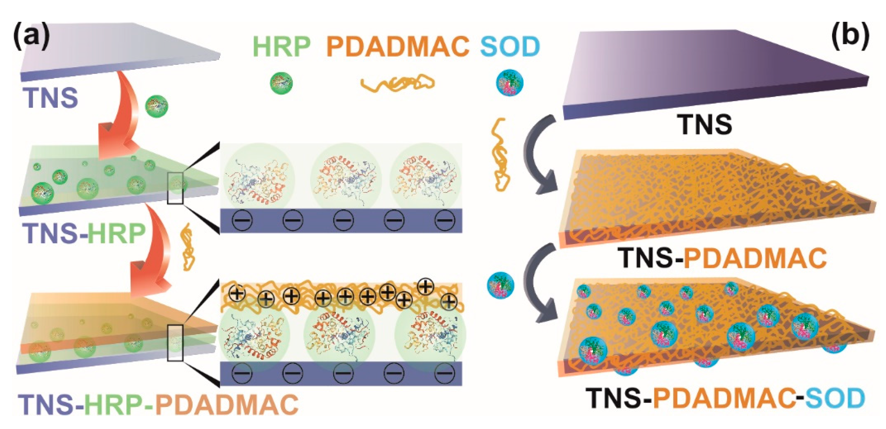 Antioxidant Materials Based on 2D Nanostructures: A Review