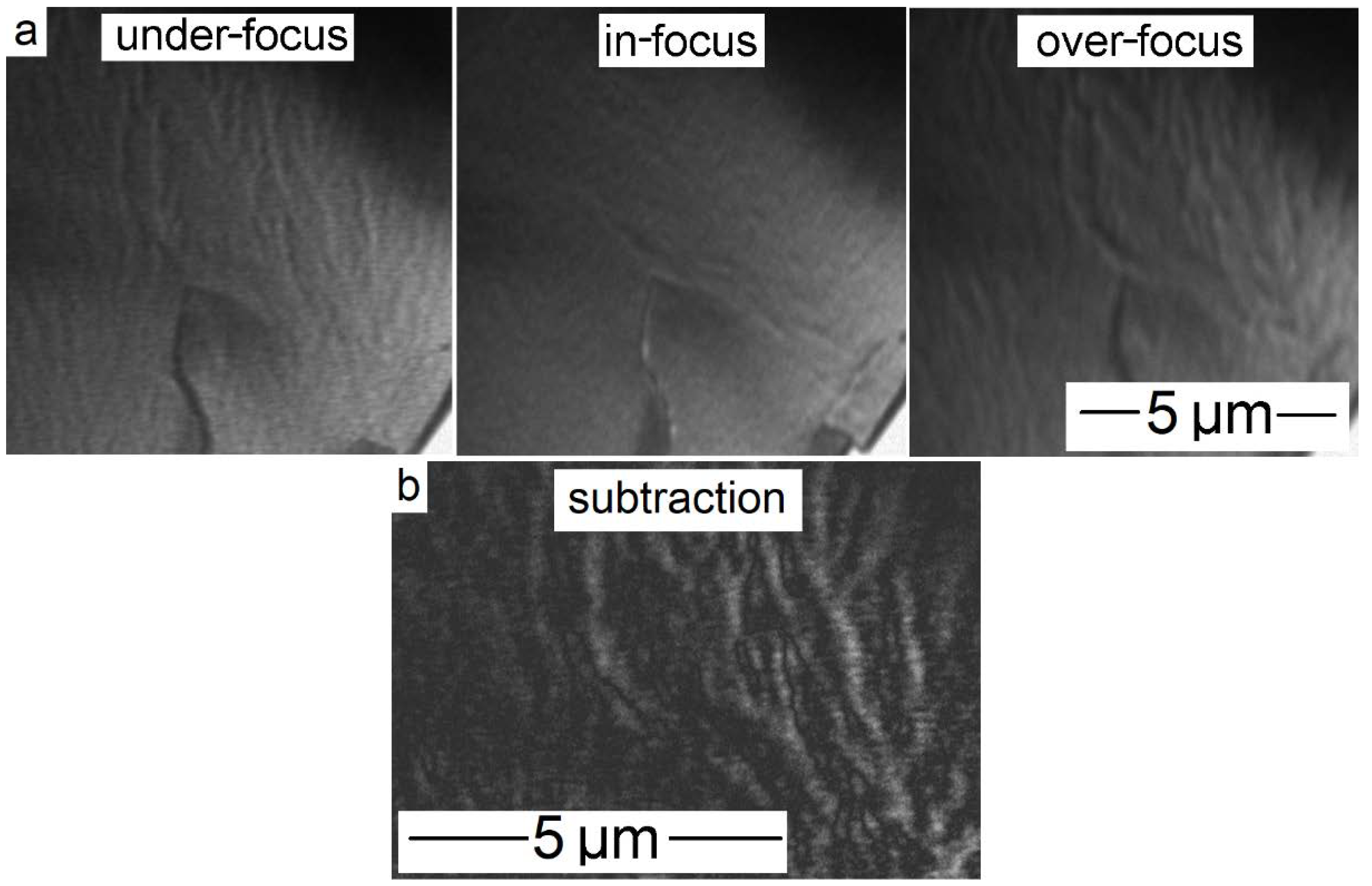Crystals 10 00153 g012 Crystals 10 00153 g012
