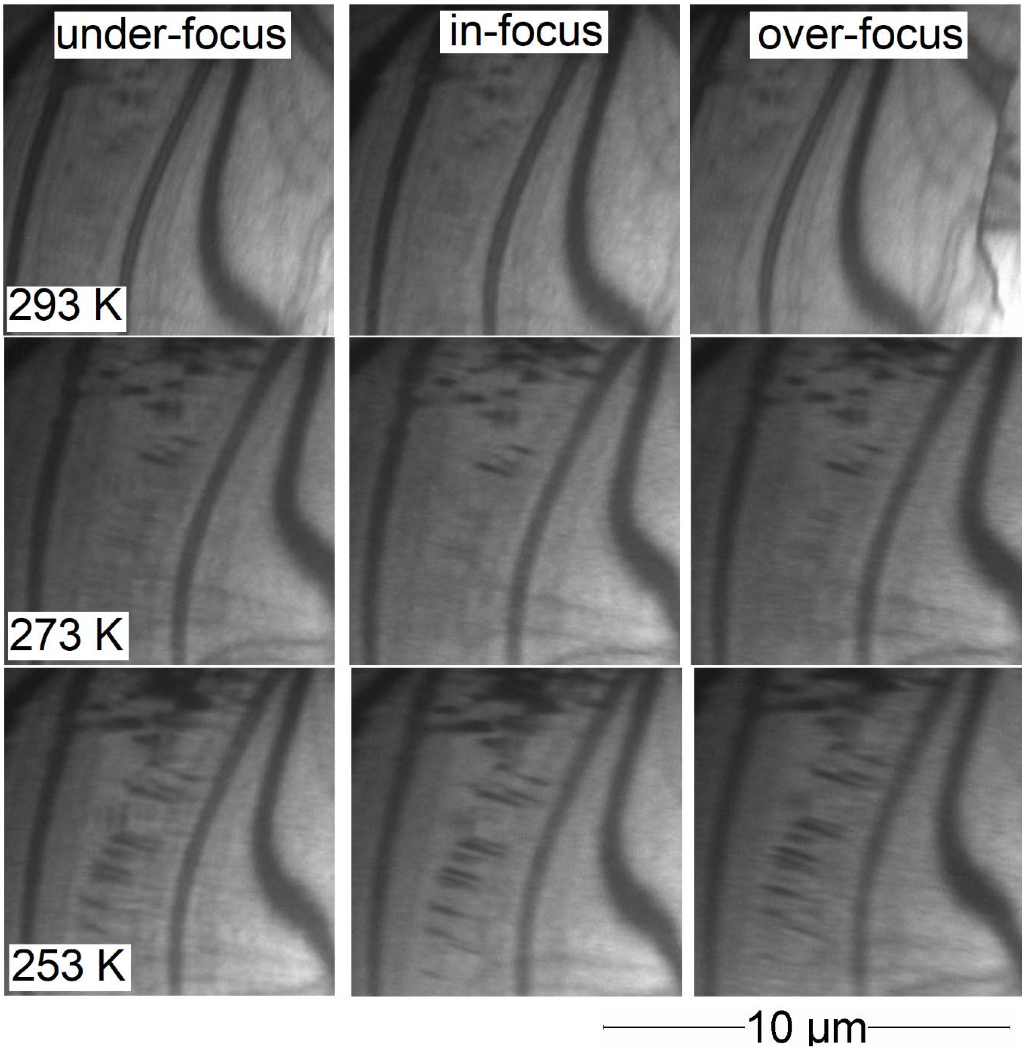 Crystals 10 00153 g0a1 Crystals 10 00153 g0a1