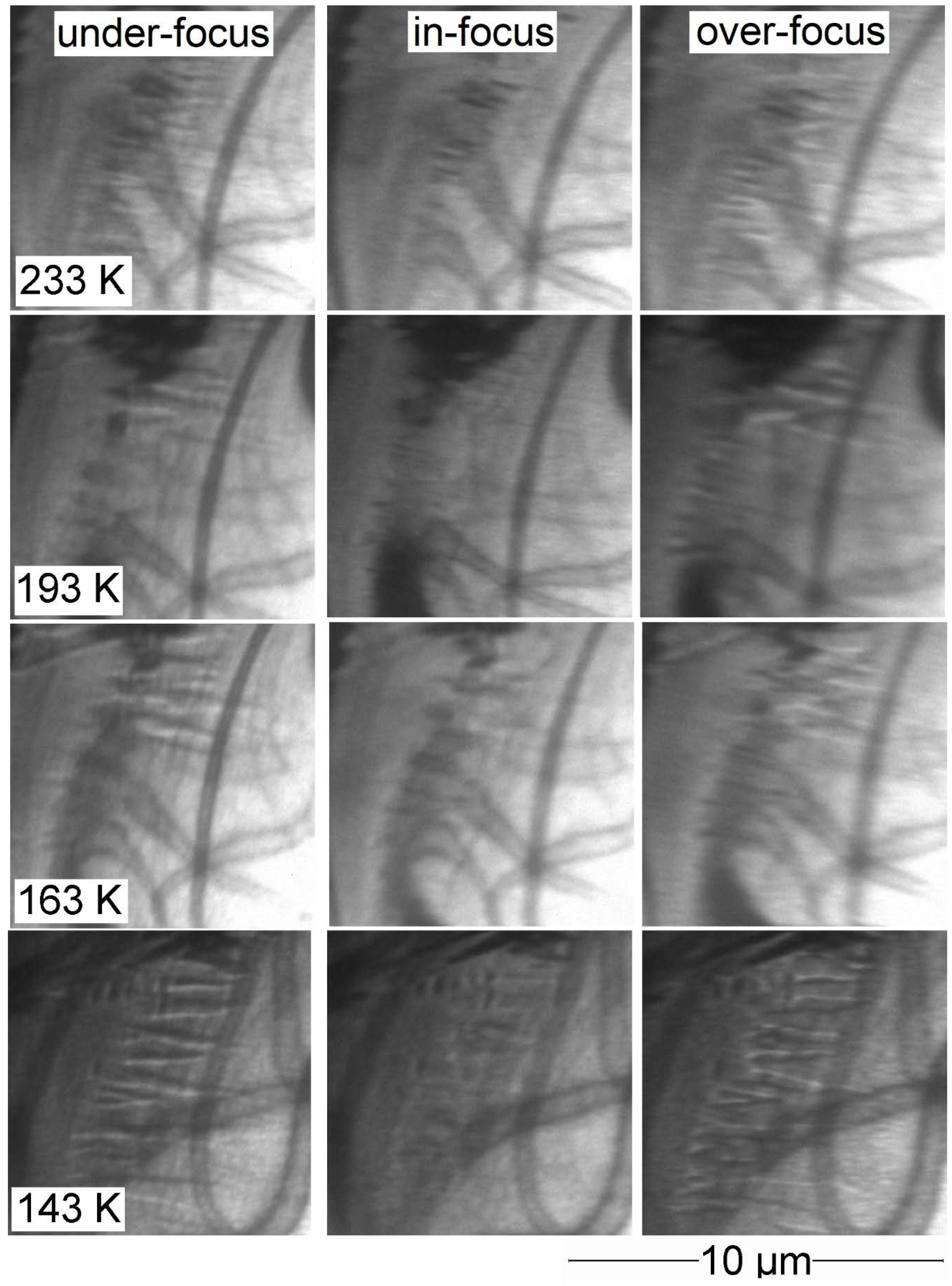 Crystals 10 00153 g0a2 Crystals 10 00153 g0a2
