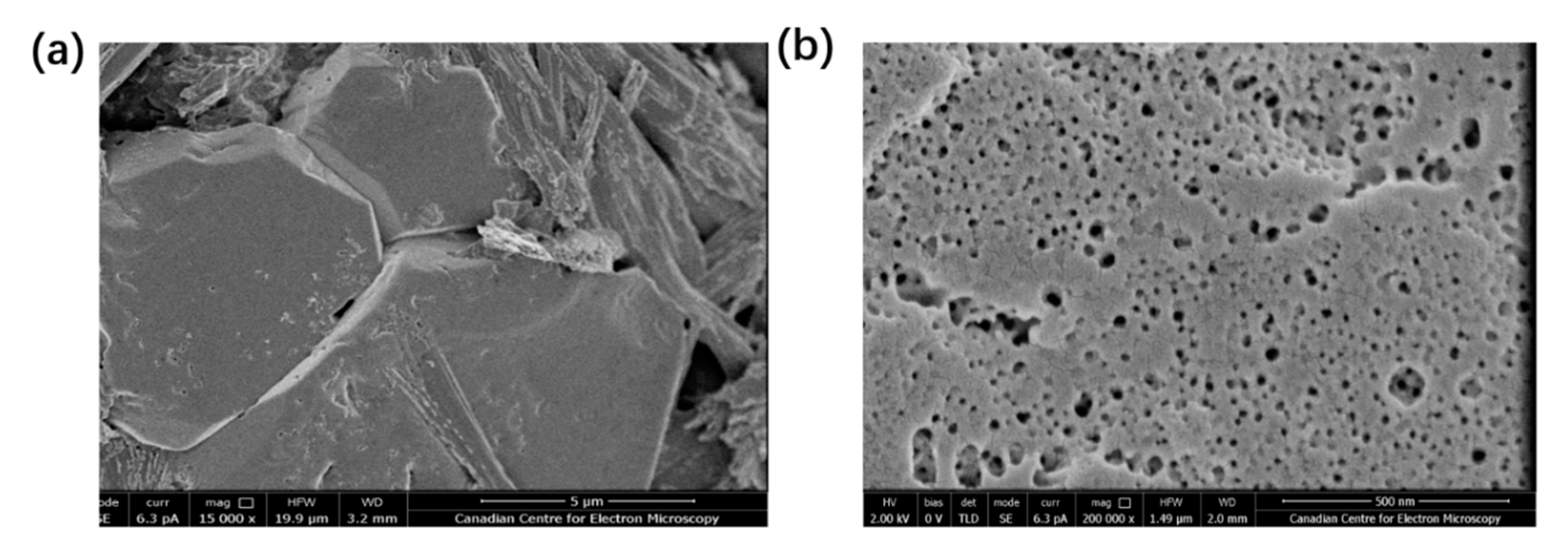 Crystals 10 00162 g004