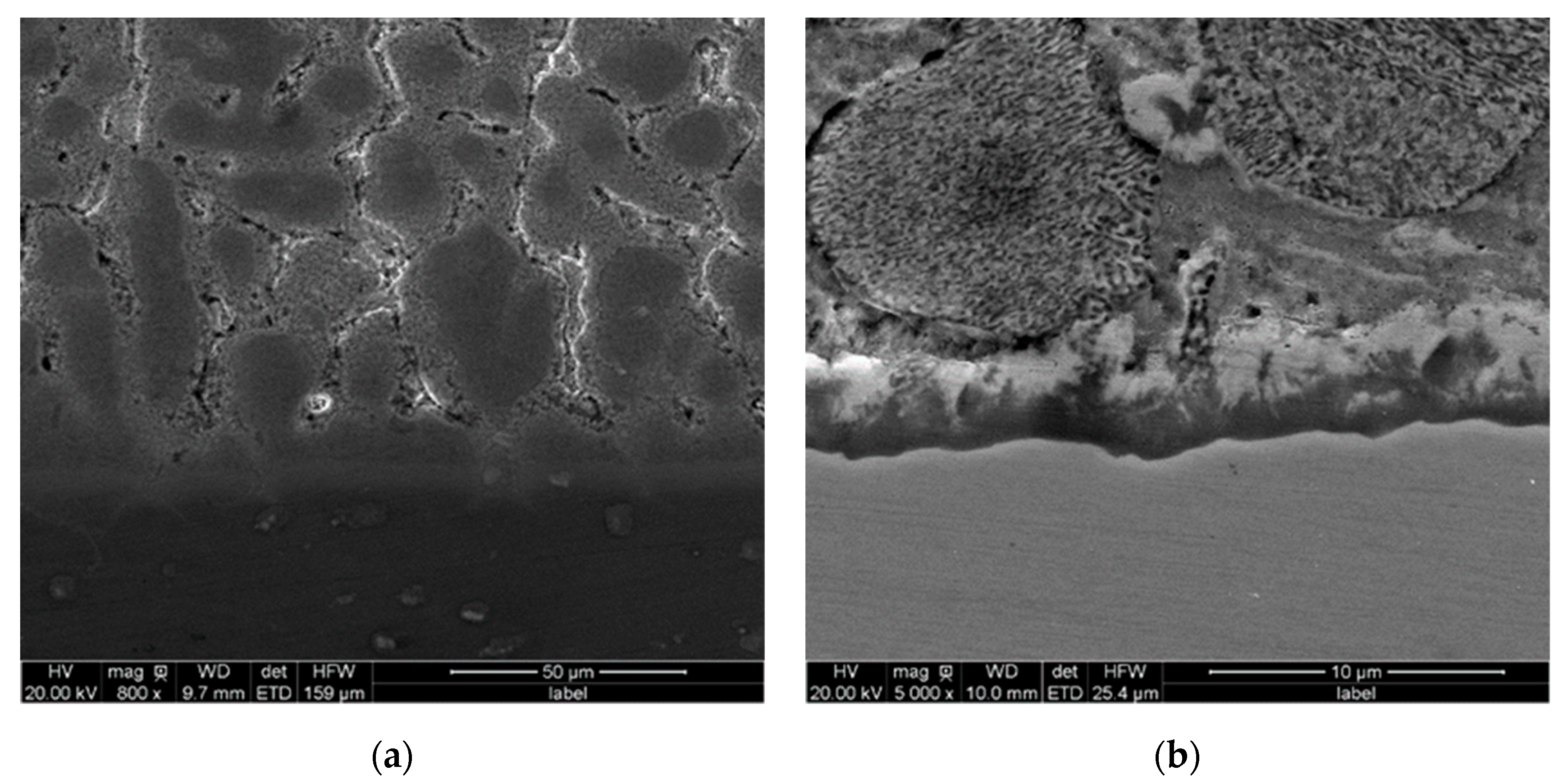 Crystals 10 00183 g005 Crystals 10 00183 g005