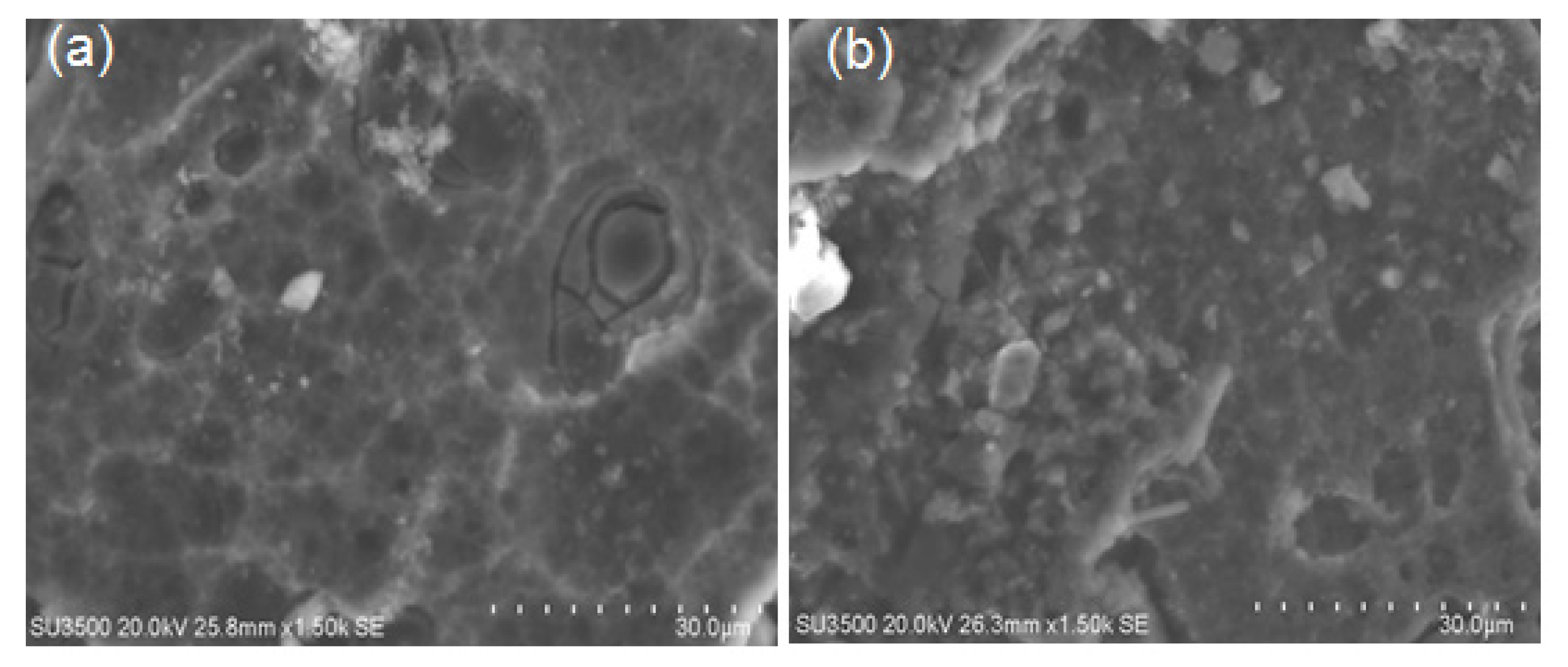 Crystals 10 00190 g008 Crystals 10 00190 g008