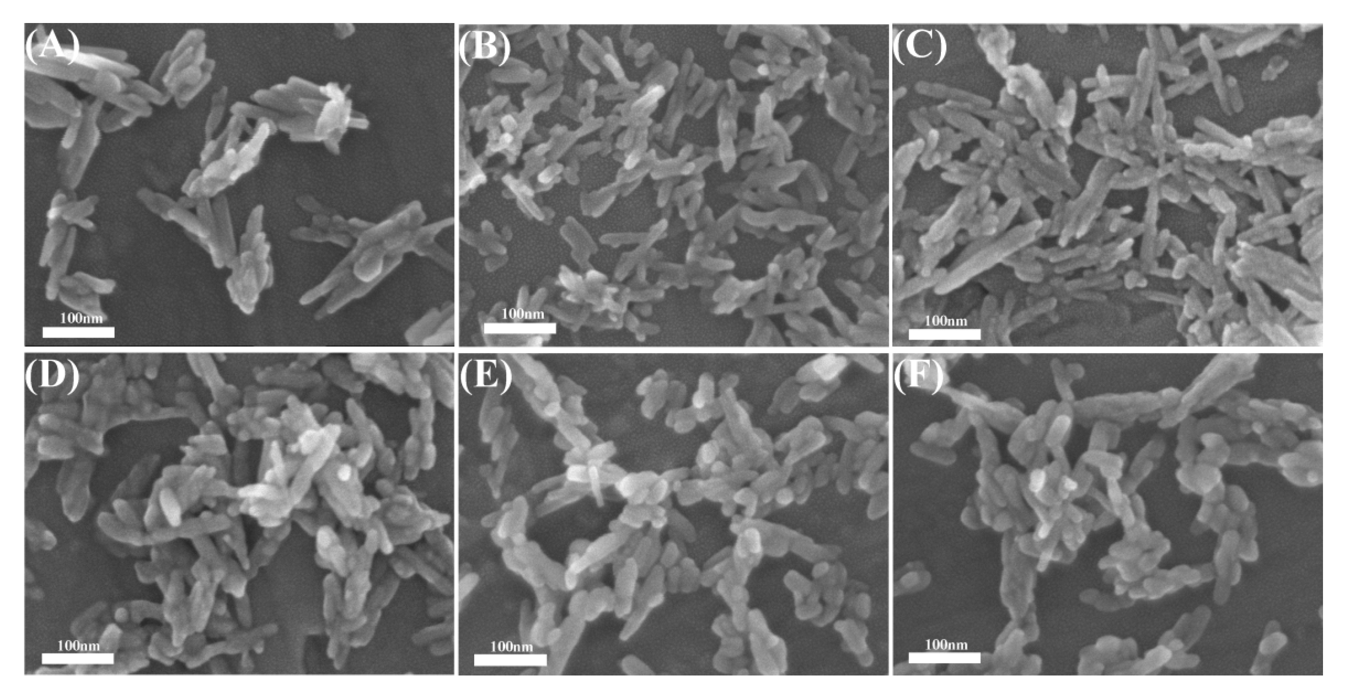 Crystals 10 00191 g0a1 Crystals 10 00191 g0a1