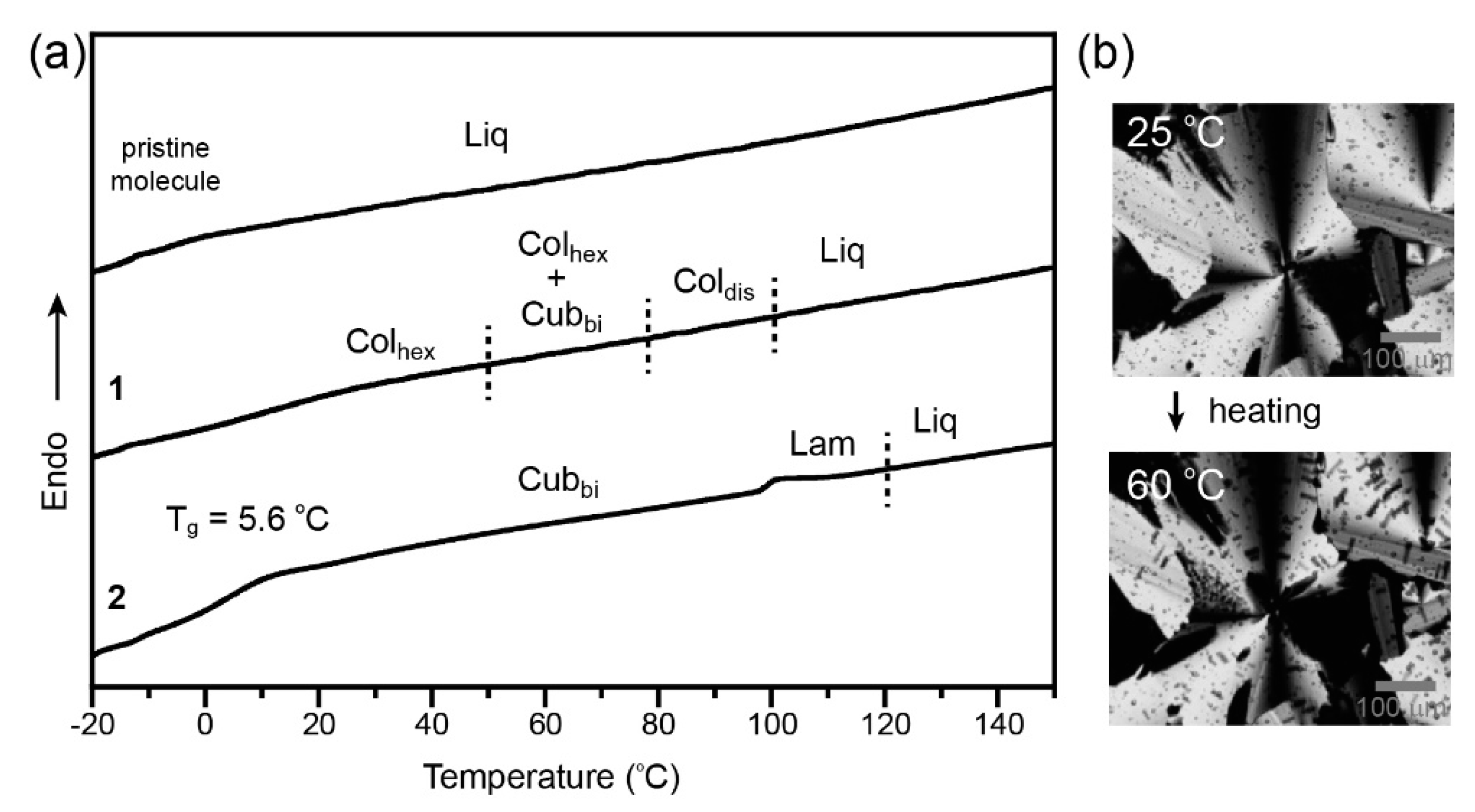 Crystals 10 00193 g002